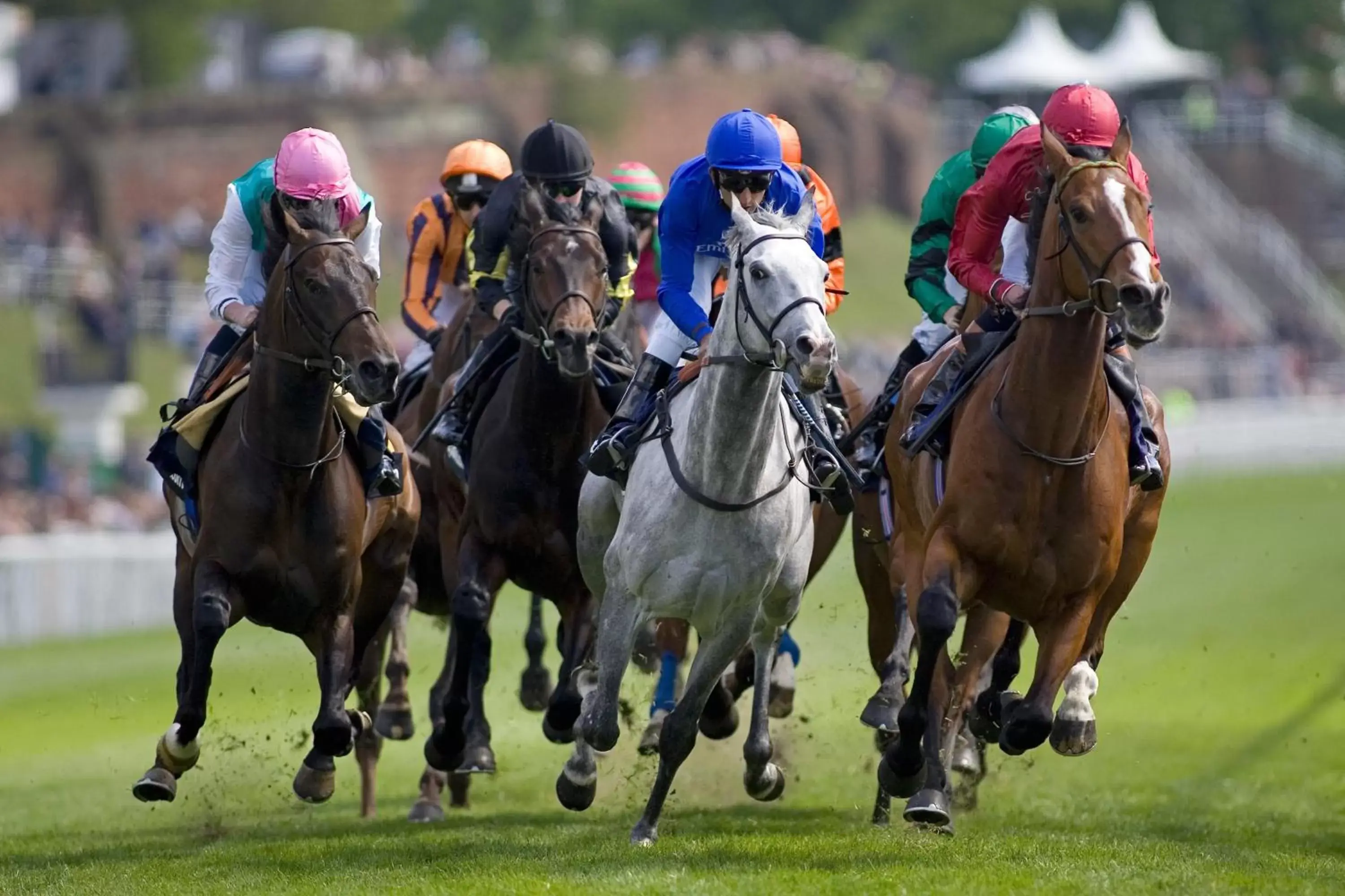 Area and facilities, Horseback Riding in Holiday Inn Express Chester Racecourse