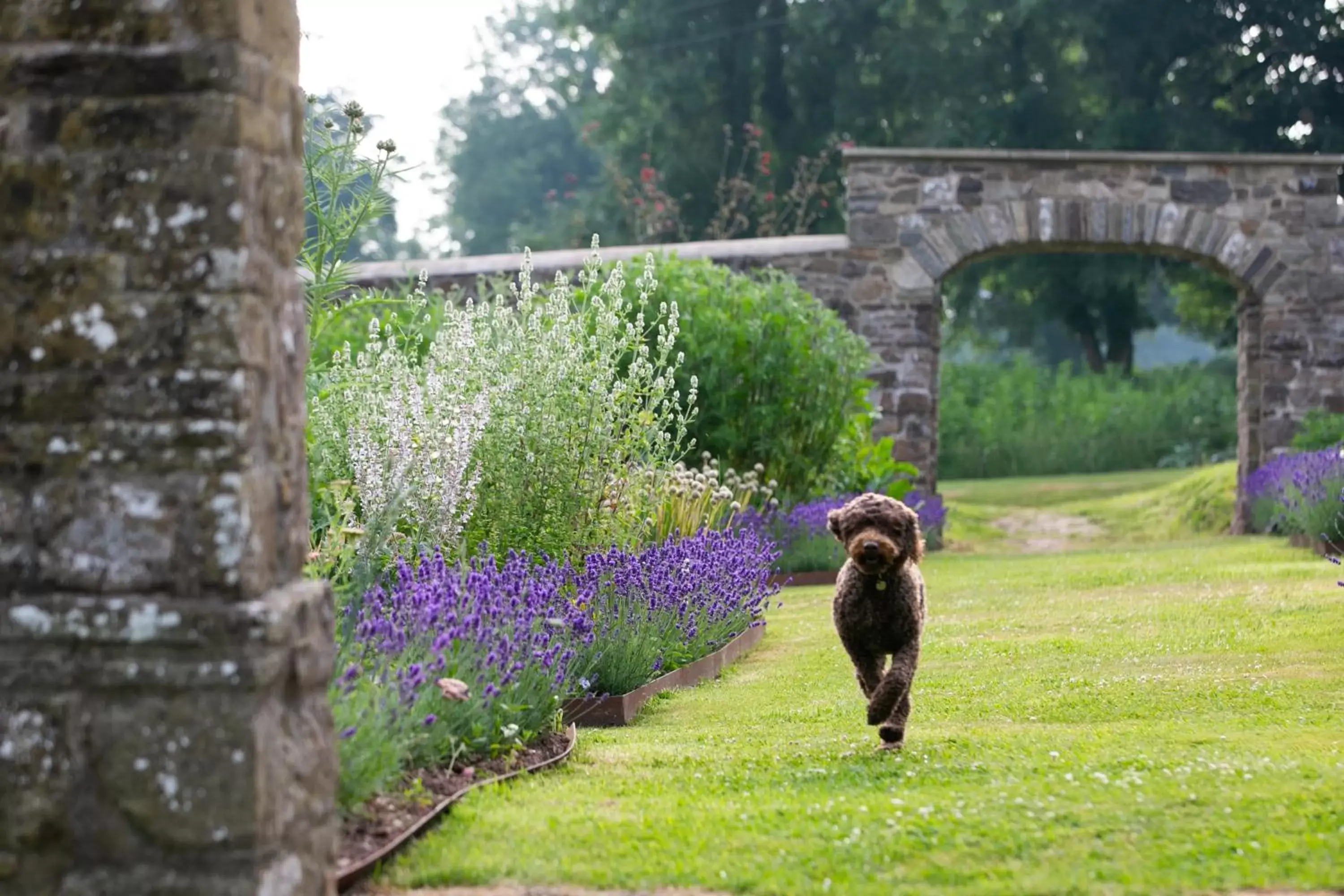 Garden in Grove of Narberth