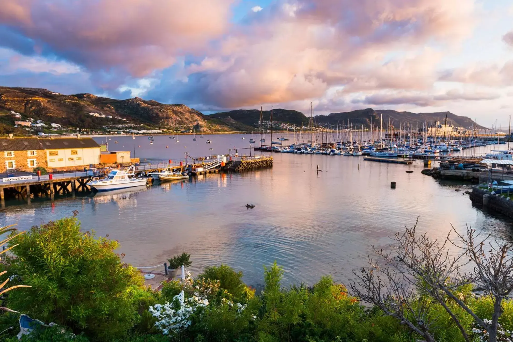 View (from property/room) in Simon's Town Quayside Hotel