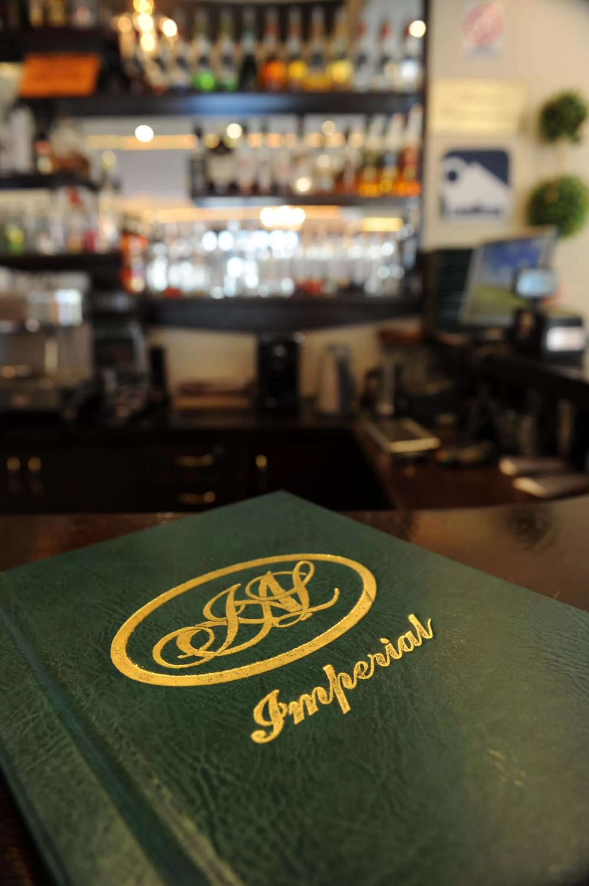 Lounge or bar in Hotel Imperial