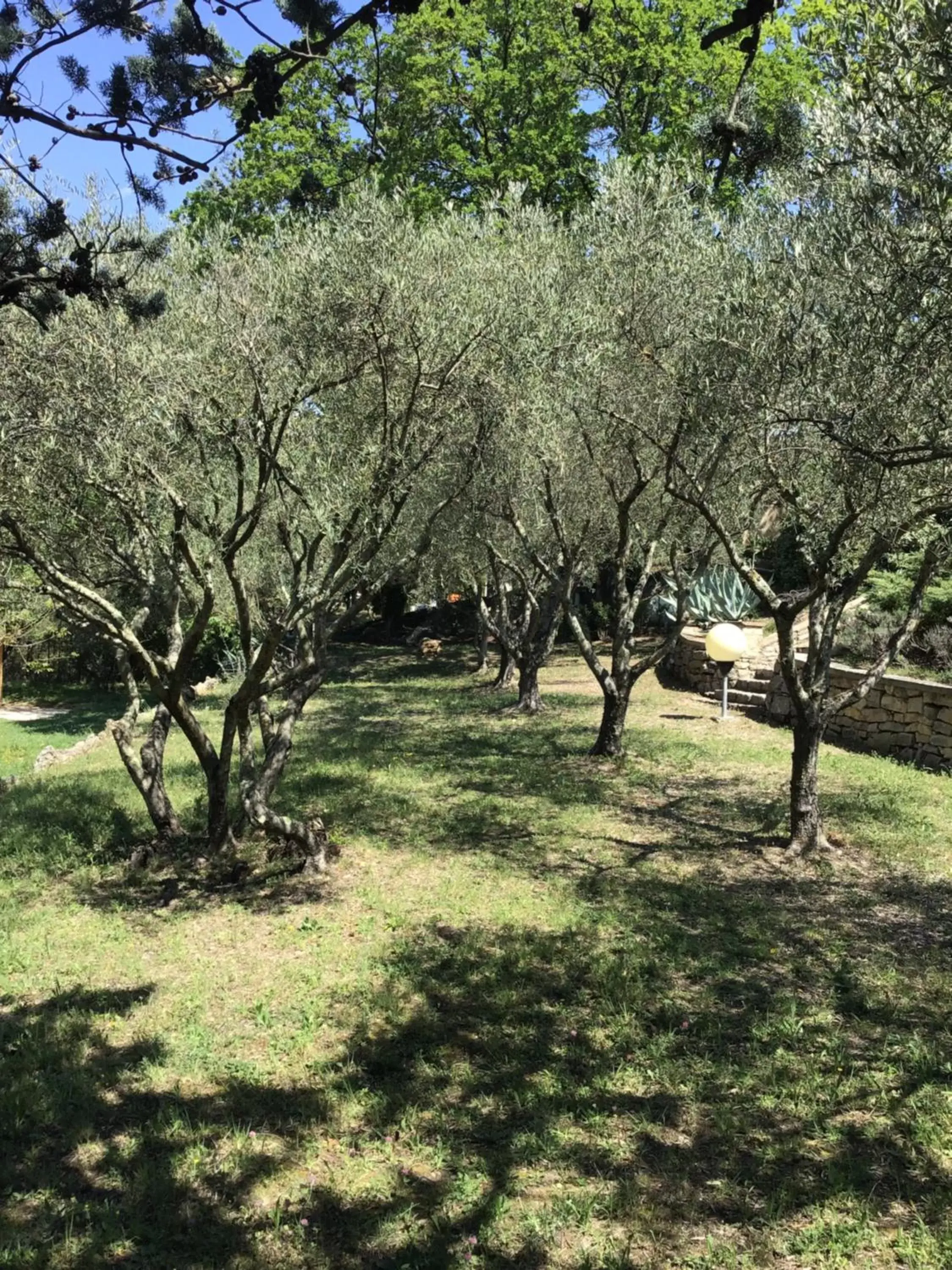 Garden in Villa San Marco chambre d hôtes