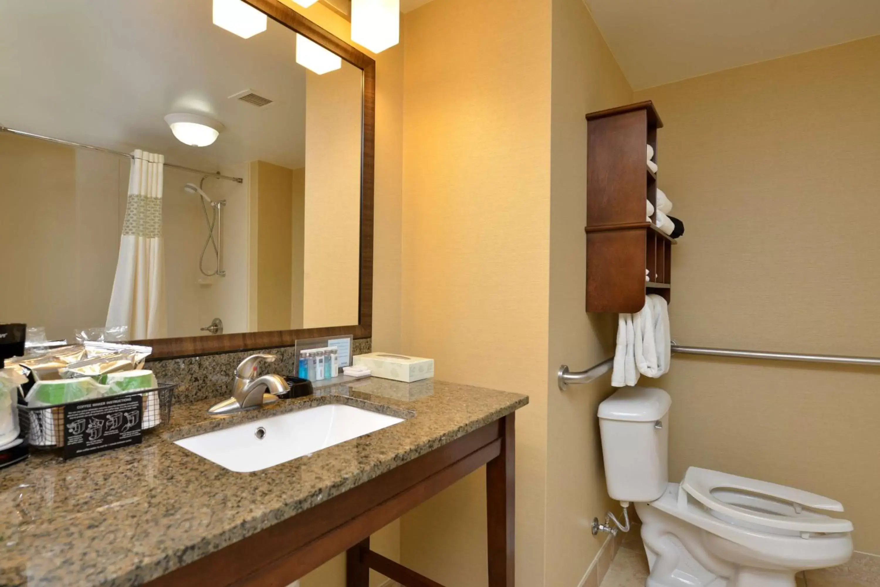 Bathroom in Hampton Inn East Aurora