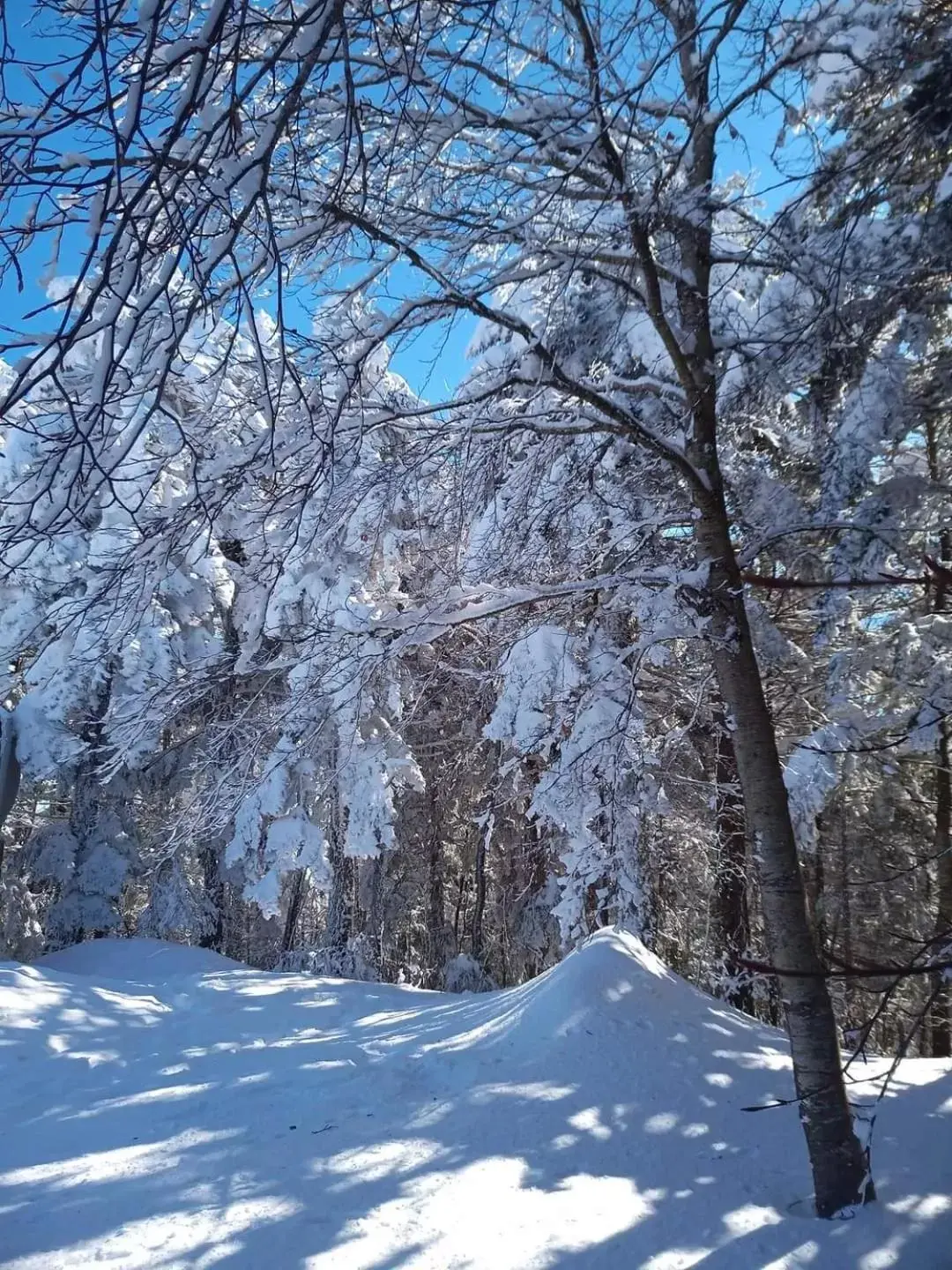 Winter in B&B Centrum Palmi