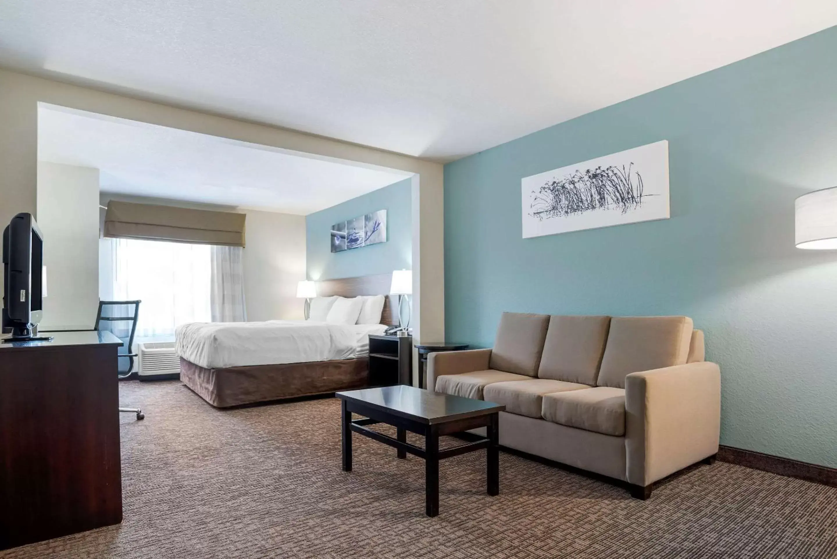 Seating Area in Sleep Inn & Suites Auburn Campus Area I-85