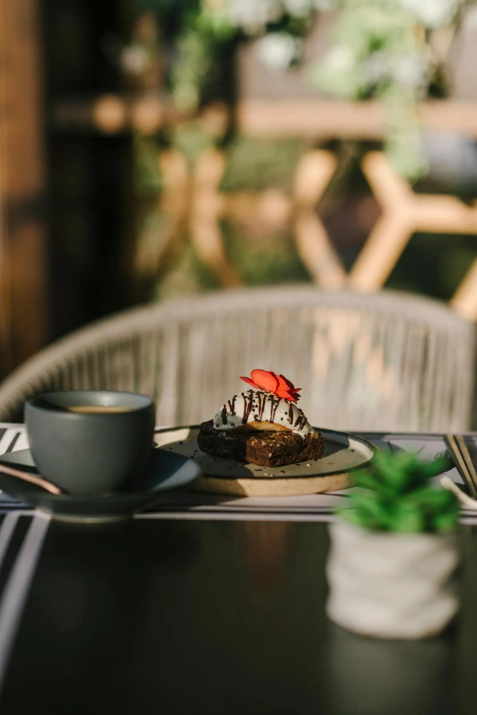 Restaurant/places to eat in Hotel Apapacho Boutique