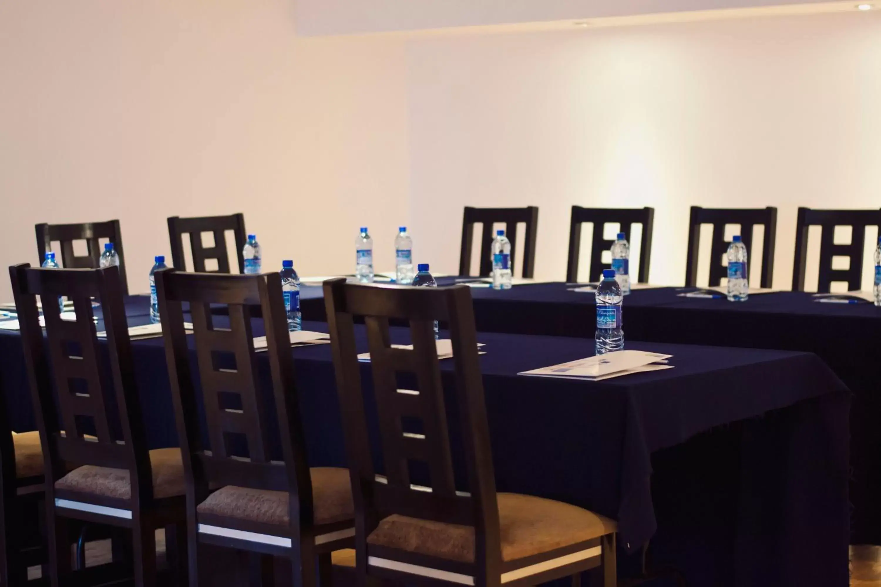 Meeting/conference room in Holiday Inn Express Nuevo Laredo, an IHG Hotel