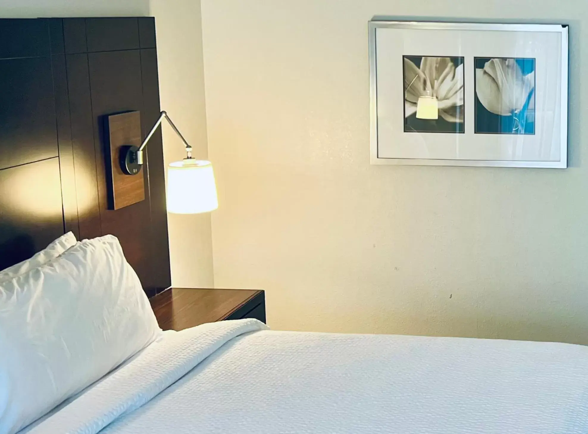 Bed in Holiday Inn Virginia Beach - Norfolk, an IHG Hotel