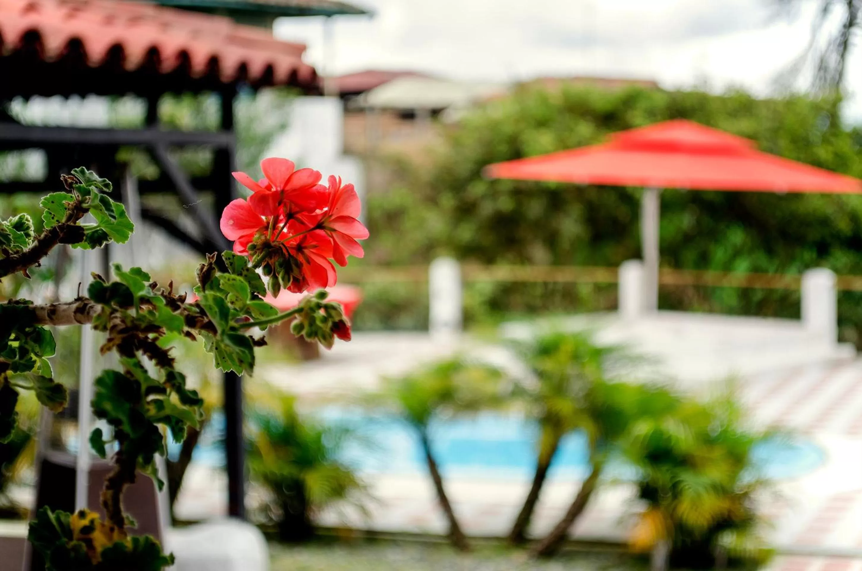 Photo of the whole room in Finca Campestre La Adelita B&B