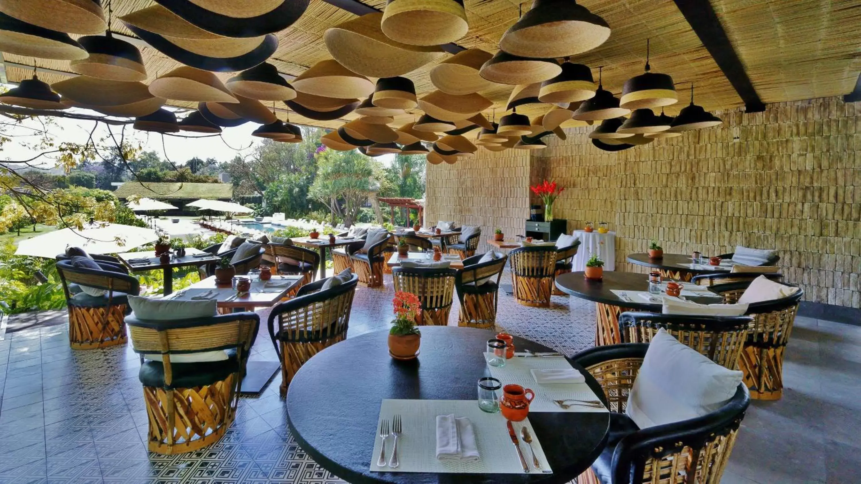 Restaurant/places to eat in Amomoxtli Restaurant/places to eat in Amomoxtli