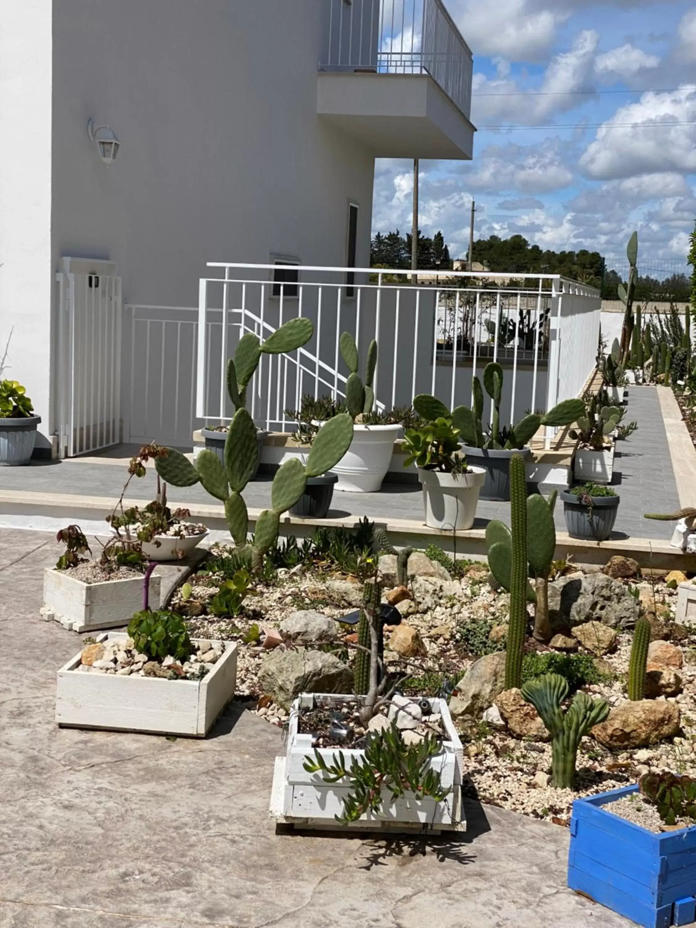 Garden in La casa di Nina