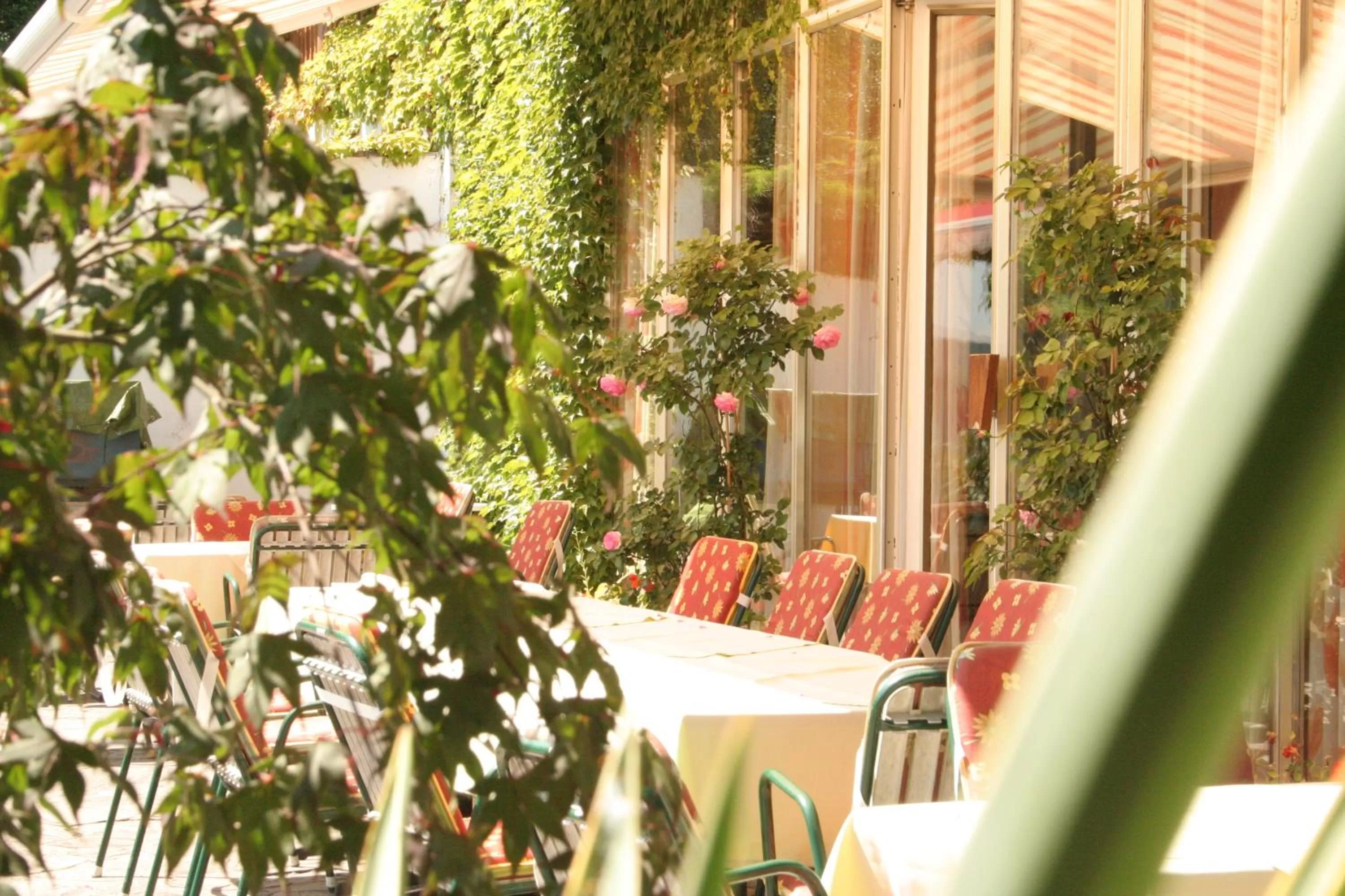 Balcony/Terrace in Hotel Walkner