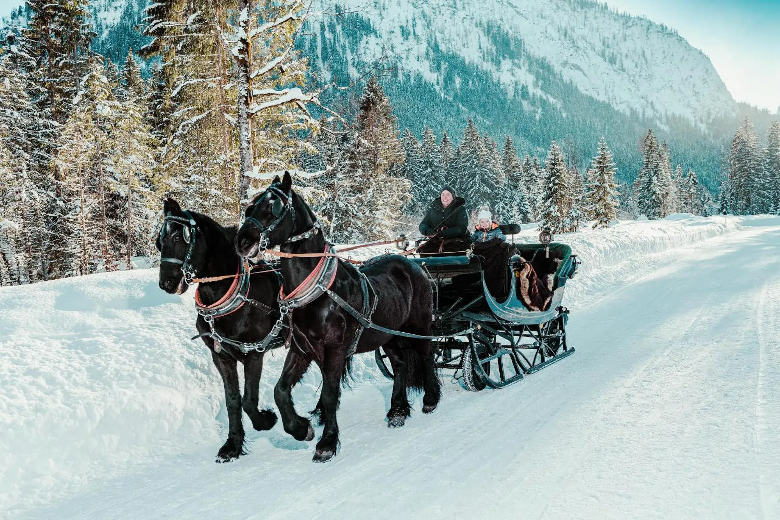 Winter, Horseback Riding in Hotel St. Georg zum See