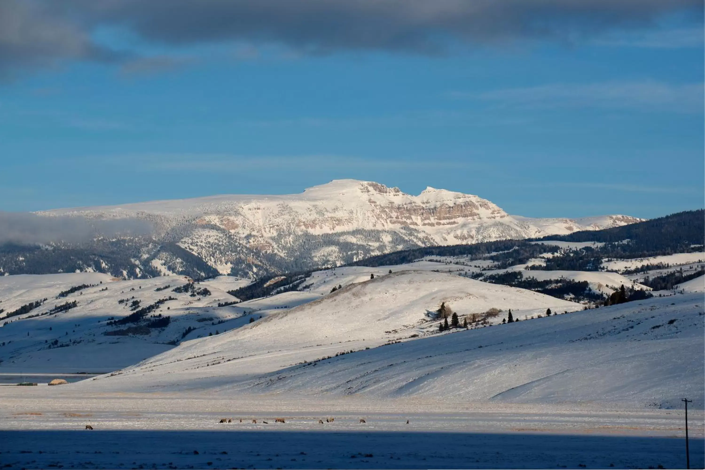 Mountain view, Winter in Elk Refuge Inn