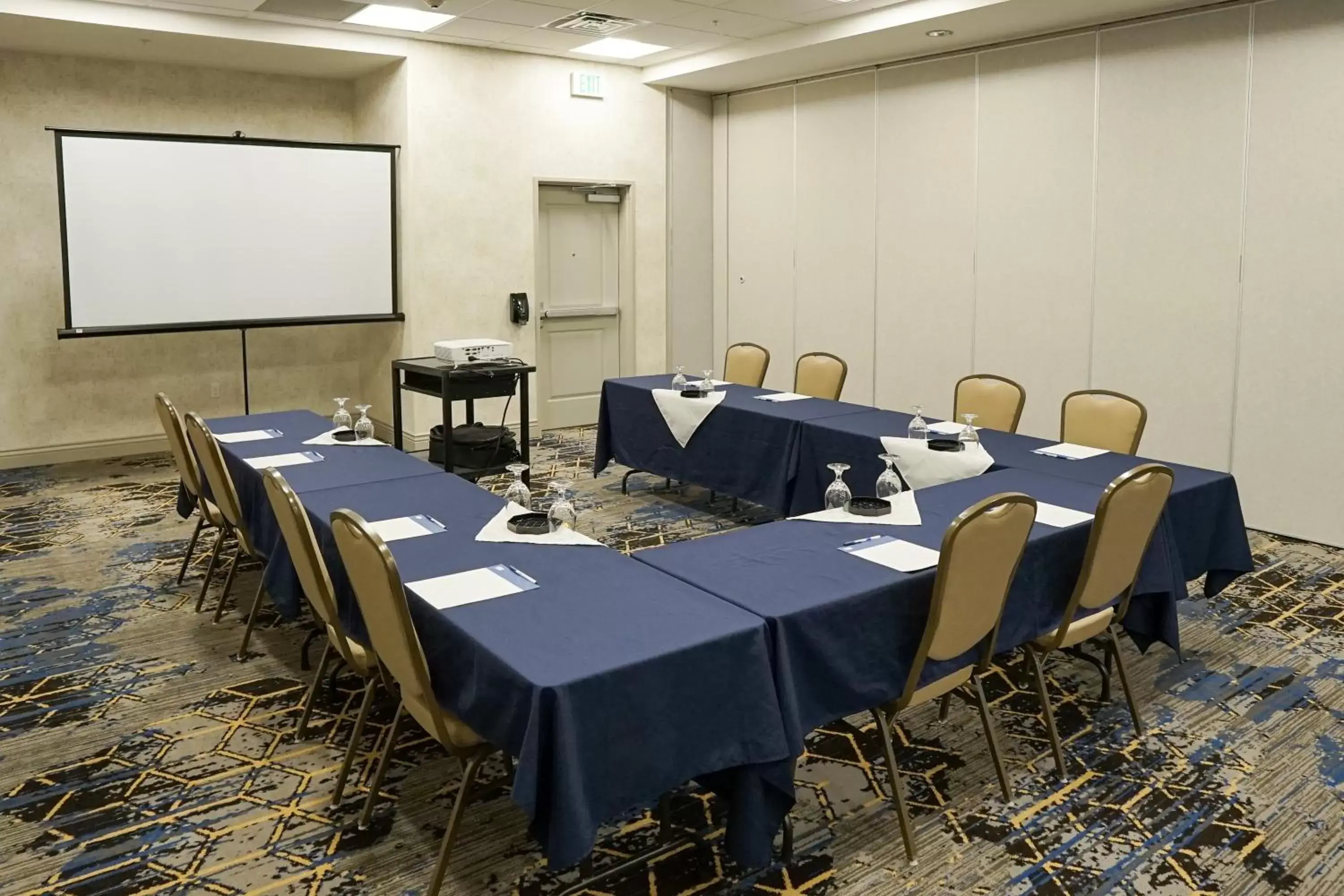 Meeting/conference room in Holiday Inn Express & Suites - Aurora Medical Campus, an IHG Hotel