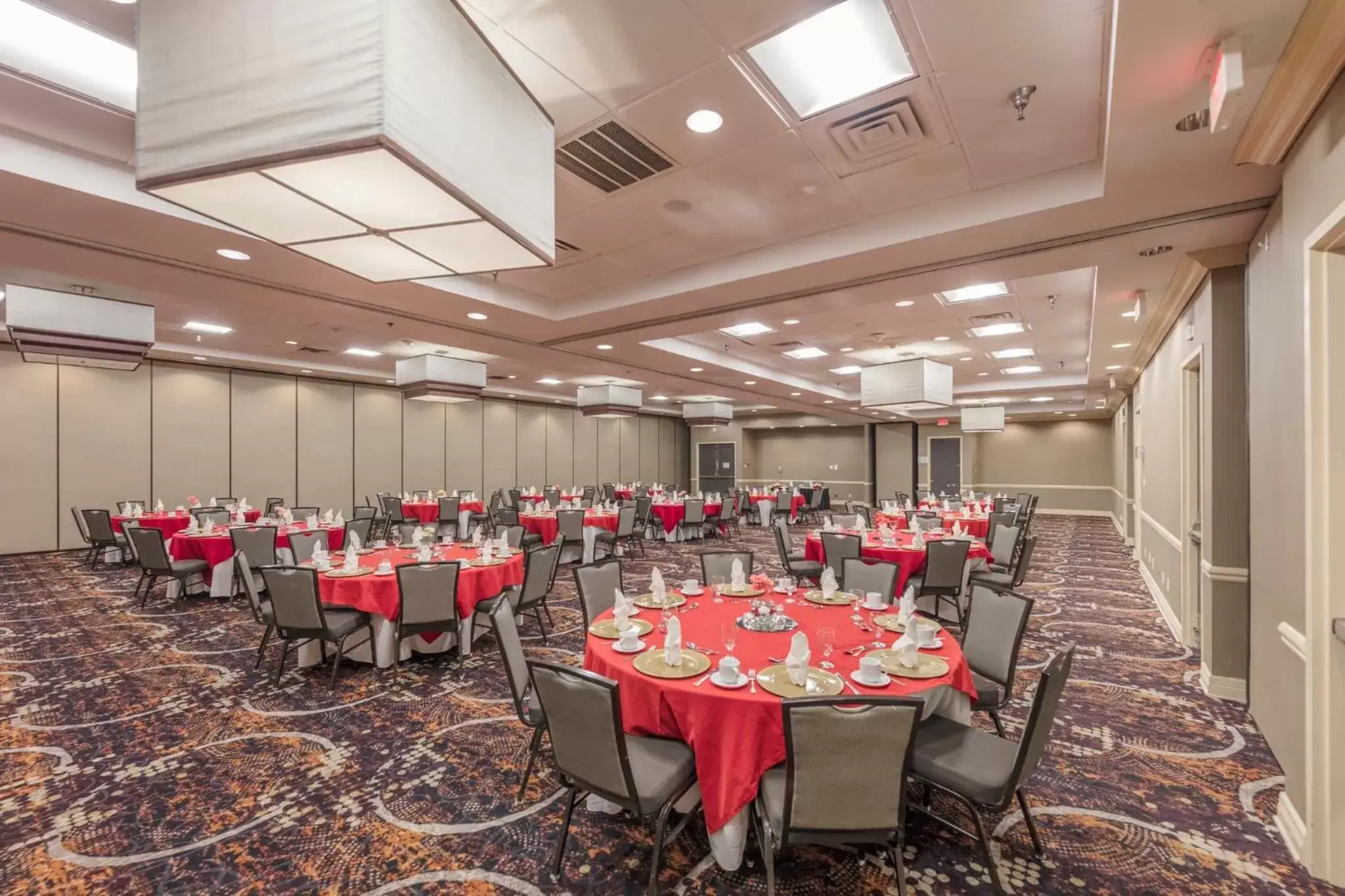 Banquet/Function facilities, Banquet Facilities in Holiday Inn Austin Midtown, an IHG Hotel