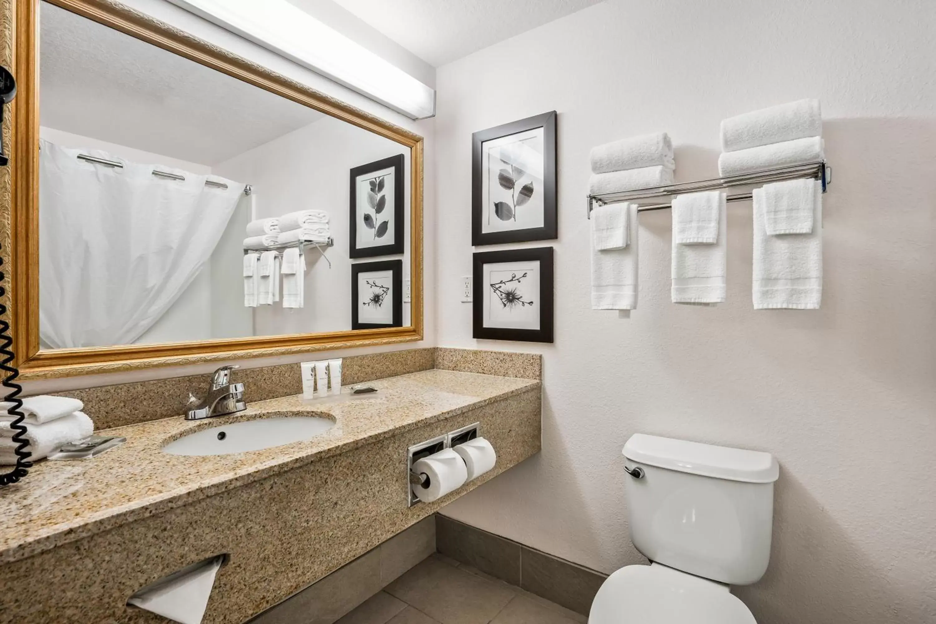 Toilet, Bathroom in Country Inn & Suites by Radisson, Port Canaveral, FL