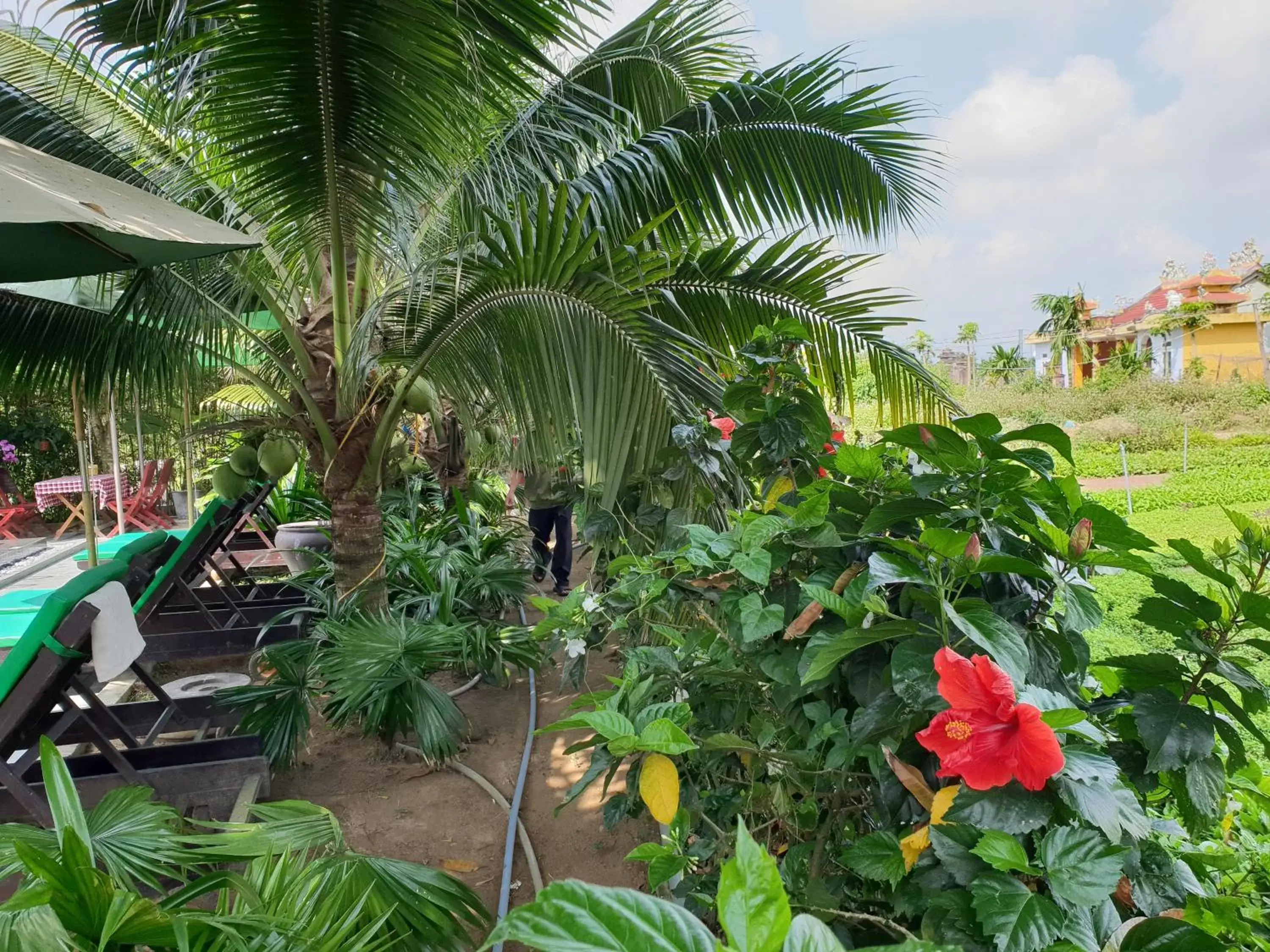 Garden in Hoi an Osaka Riverside Villa & Spa