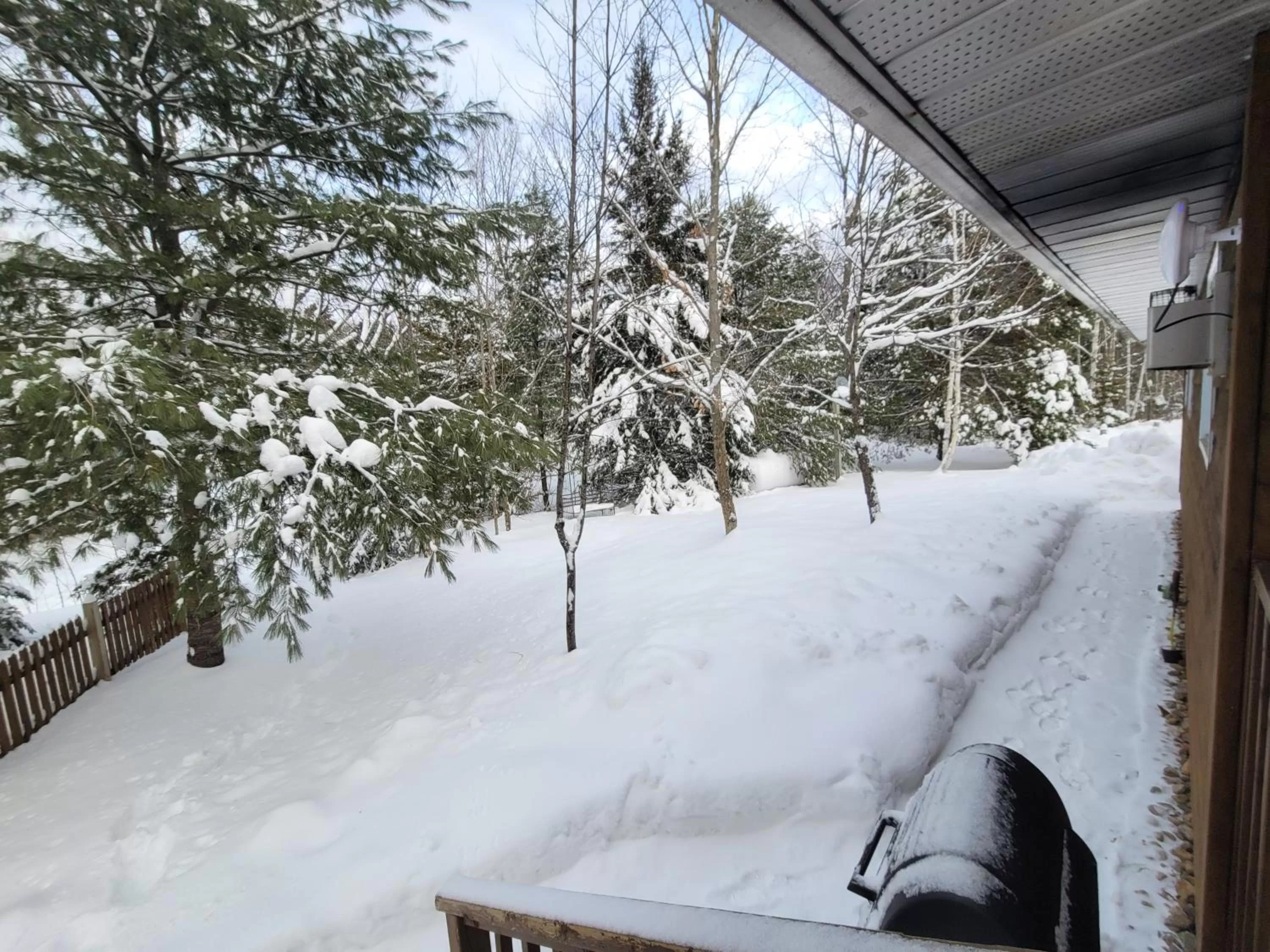 BBQ facilities in Parkway Cottage Resort and Trading Post