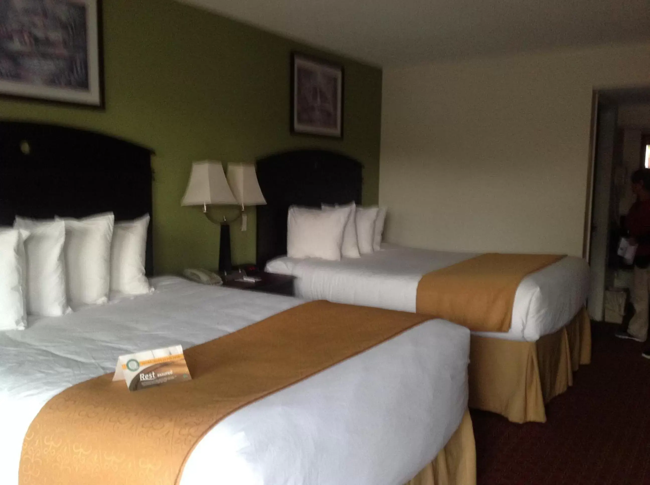 Queen Room with Two Queen Beds - Non-Smoking in Quality Inn Chipley I-10 at Exit 120