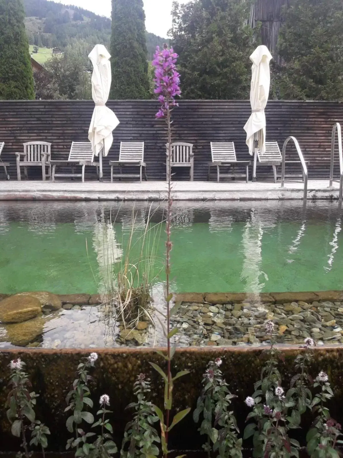 Swimming Pool in Hotel Hinteregger