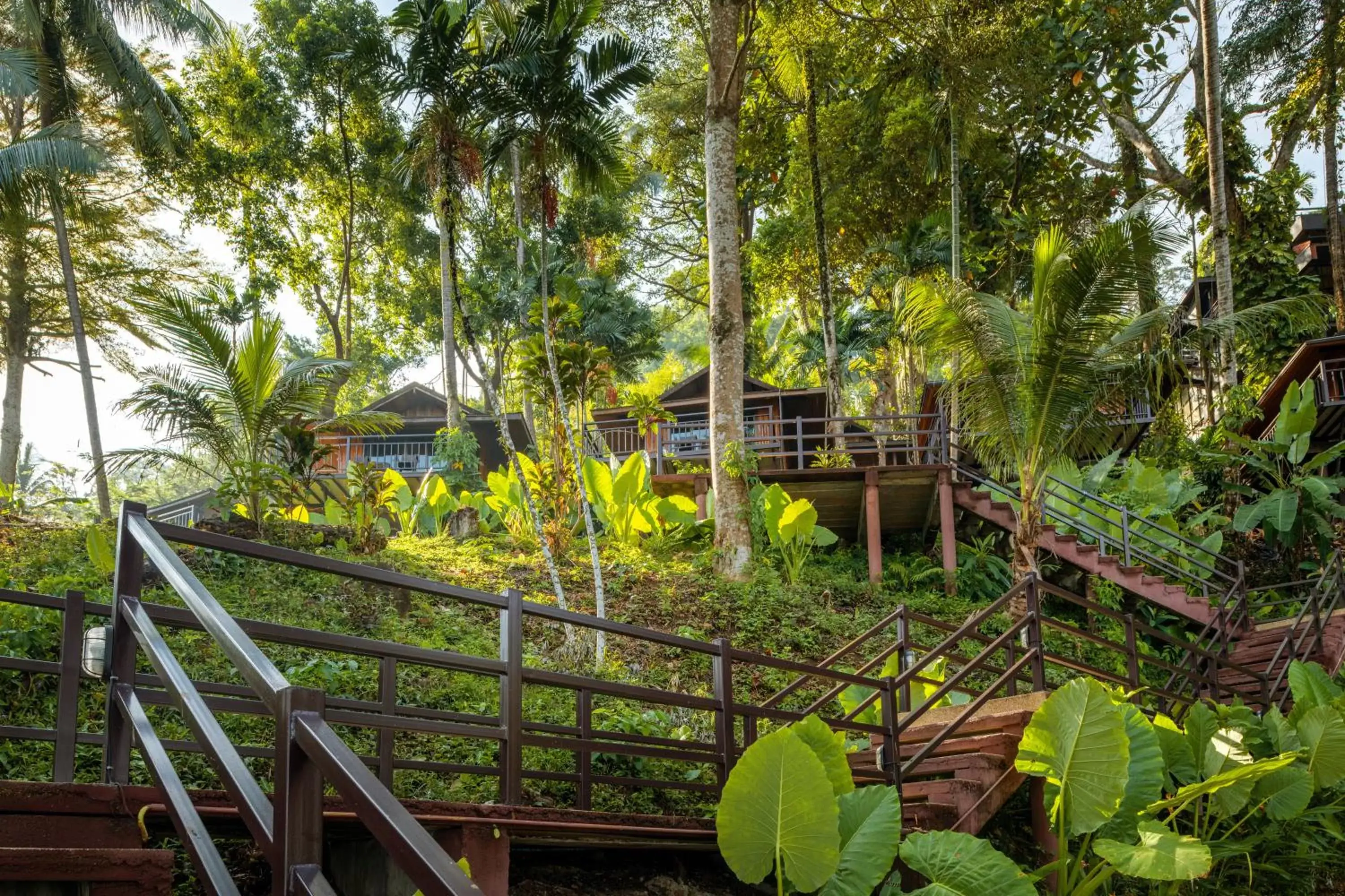 View (from property/room) in Baan Krating Khao Lak Resort - SHA plus View (from property/room) in Baan Krating Khao Lak Resort - SHA plus