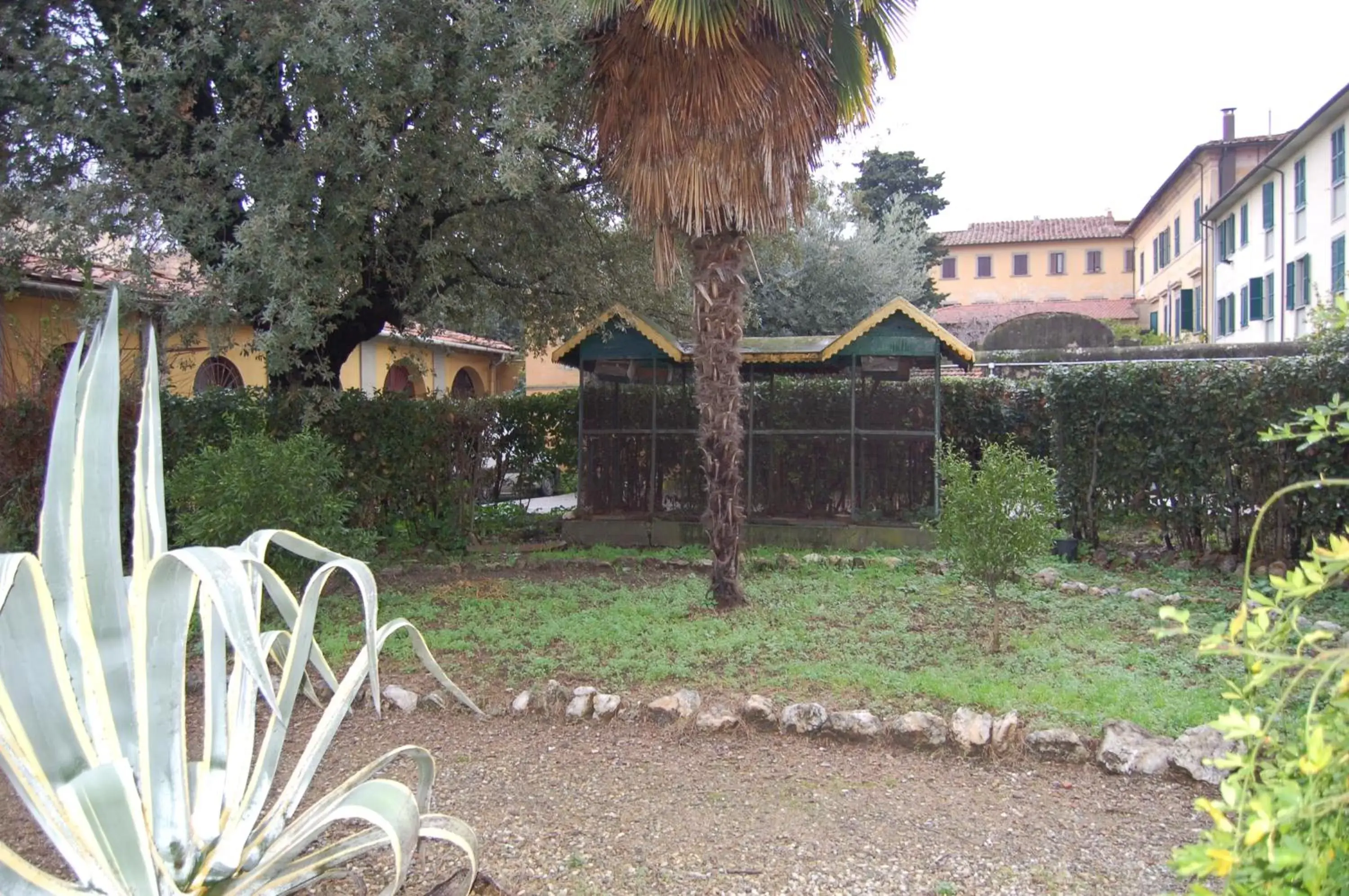 Garden, Property Building in B&B Antica Piazza dei Miracoli