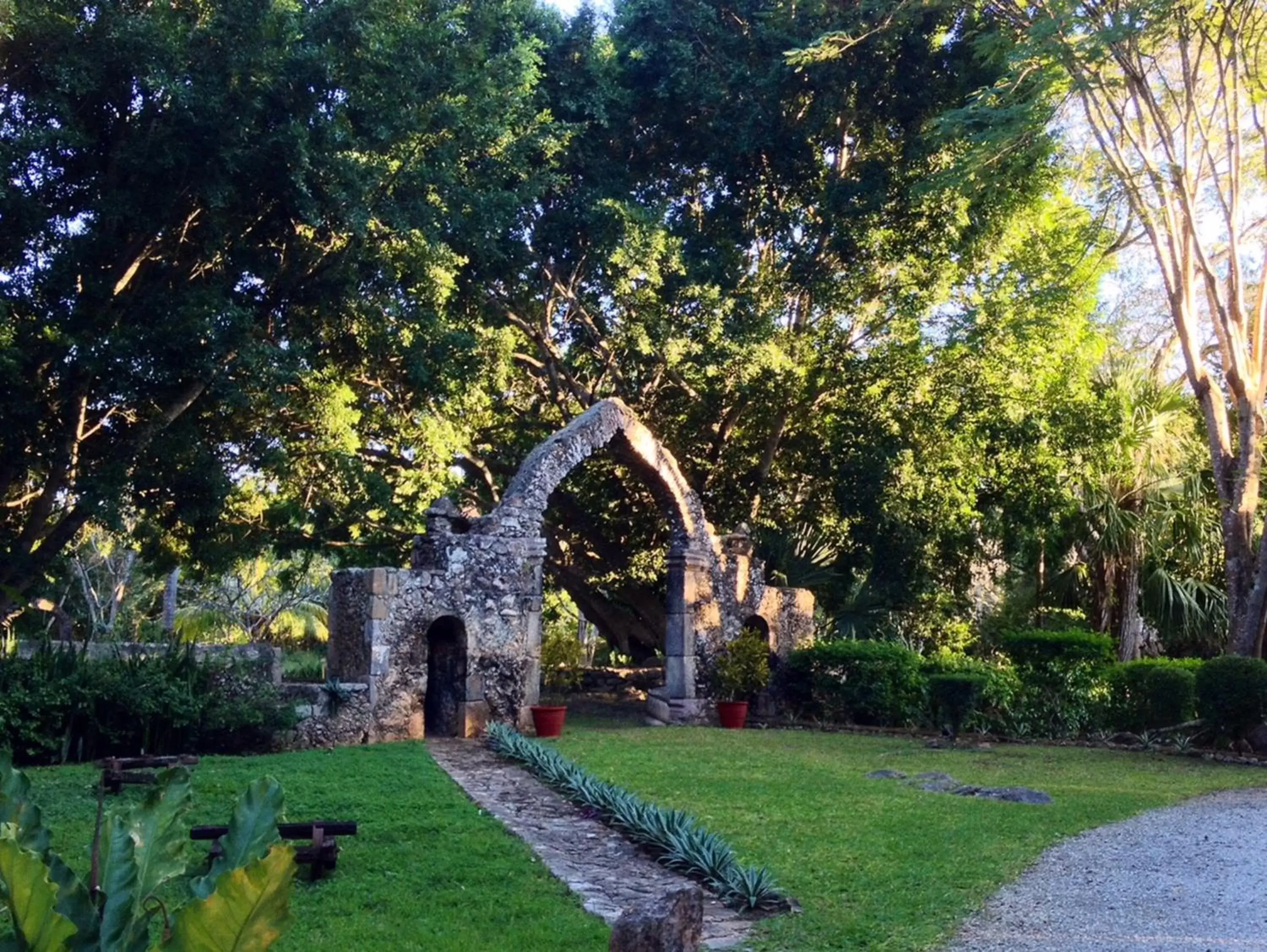 Natural landscape, Garden in Hacienda Chichen Resort and Yaxkin Spa