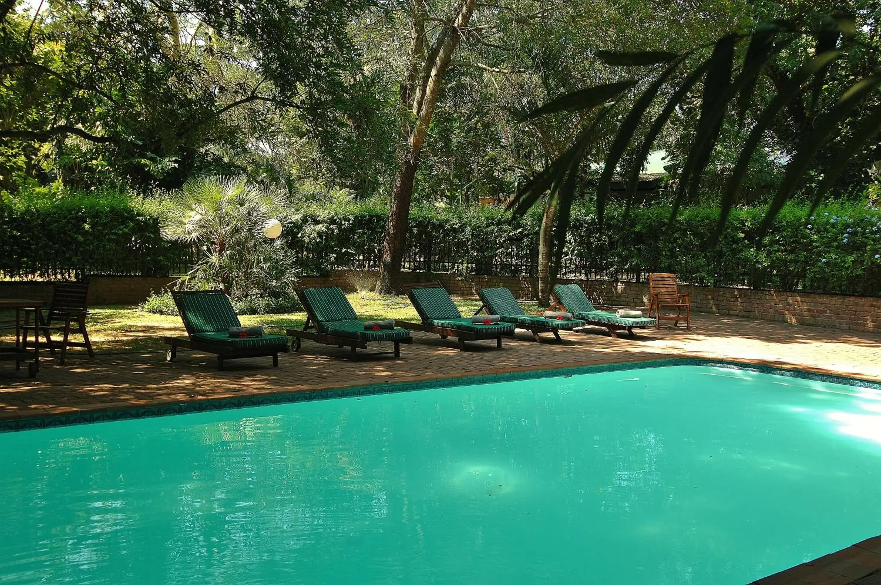 Swimming pool in Tzaneen Country Lodge Swimming pool in Tzaneen Country Lodge