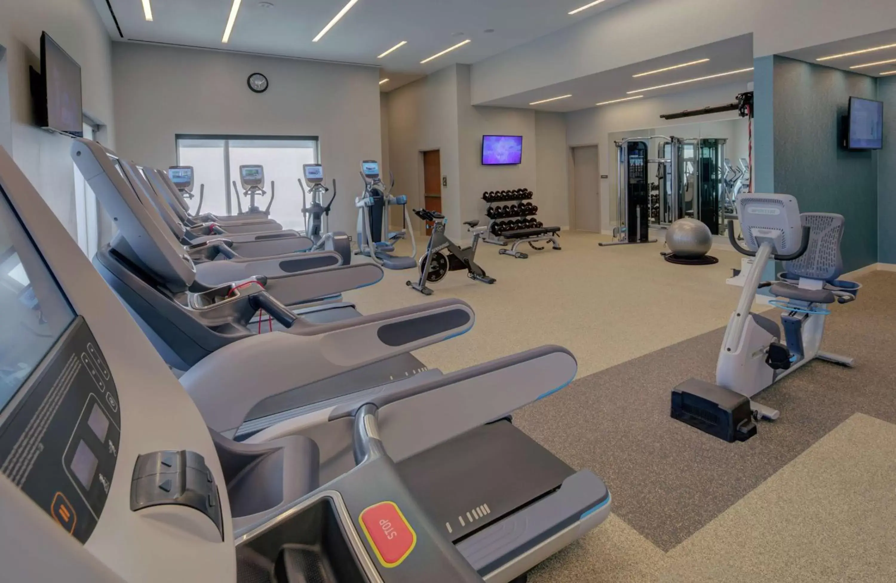 Fitness centre/facilities, Fitness Center/Facilities in Hilton Norfolk The Main