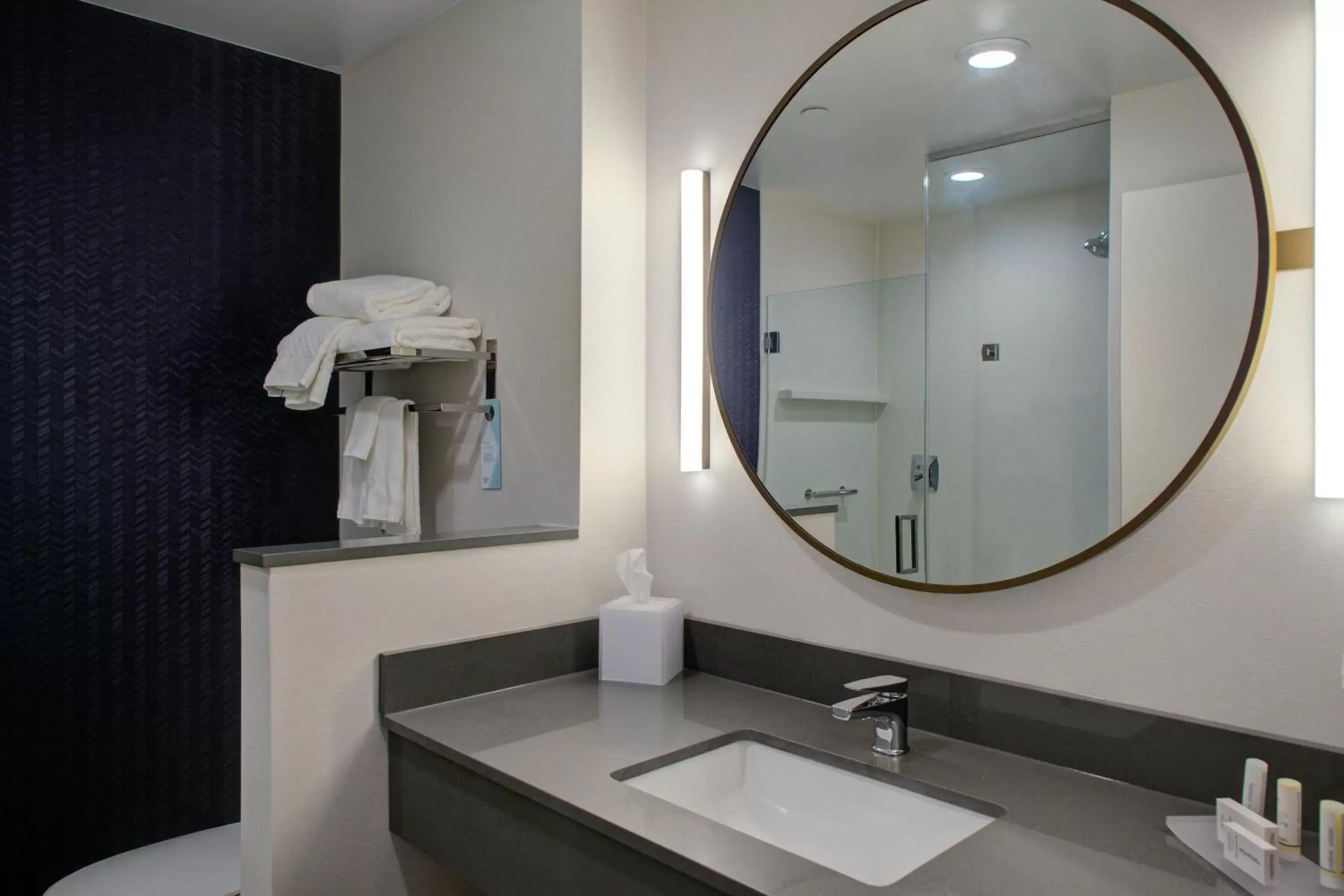 Bathroom in Fairfield Inn & Suites by Marriott Allentown West