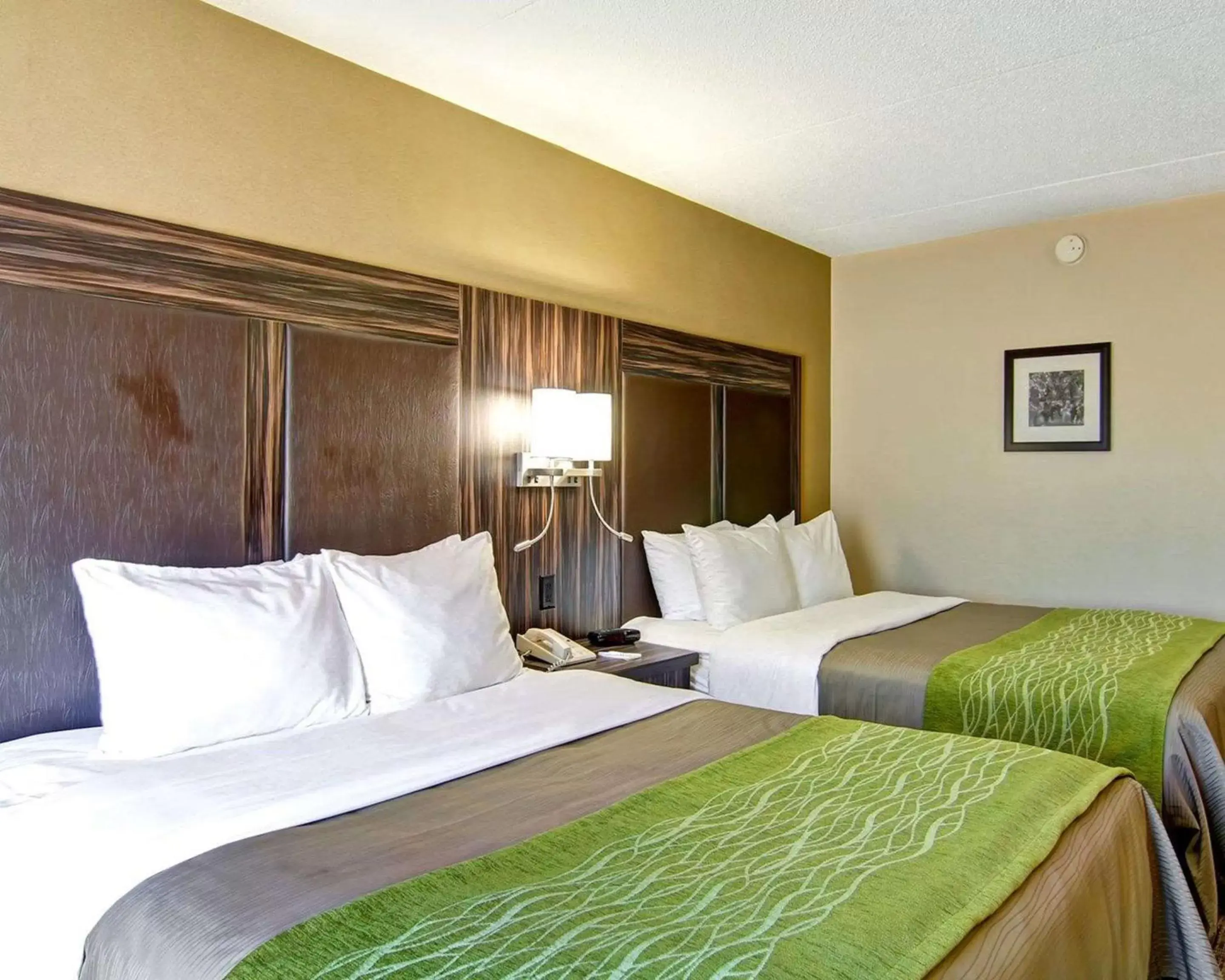 Photo of the whole room, Bed in Comfort Inn St. Catharines Niagara