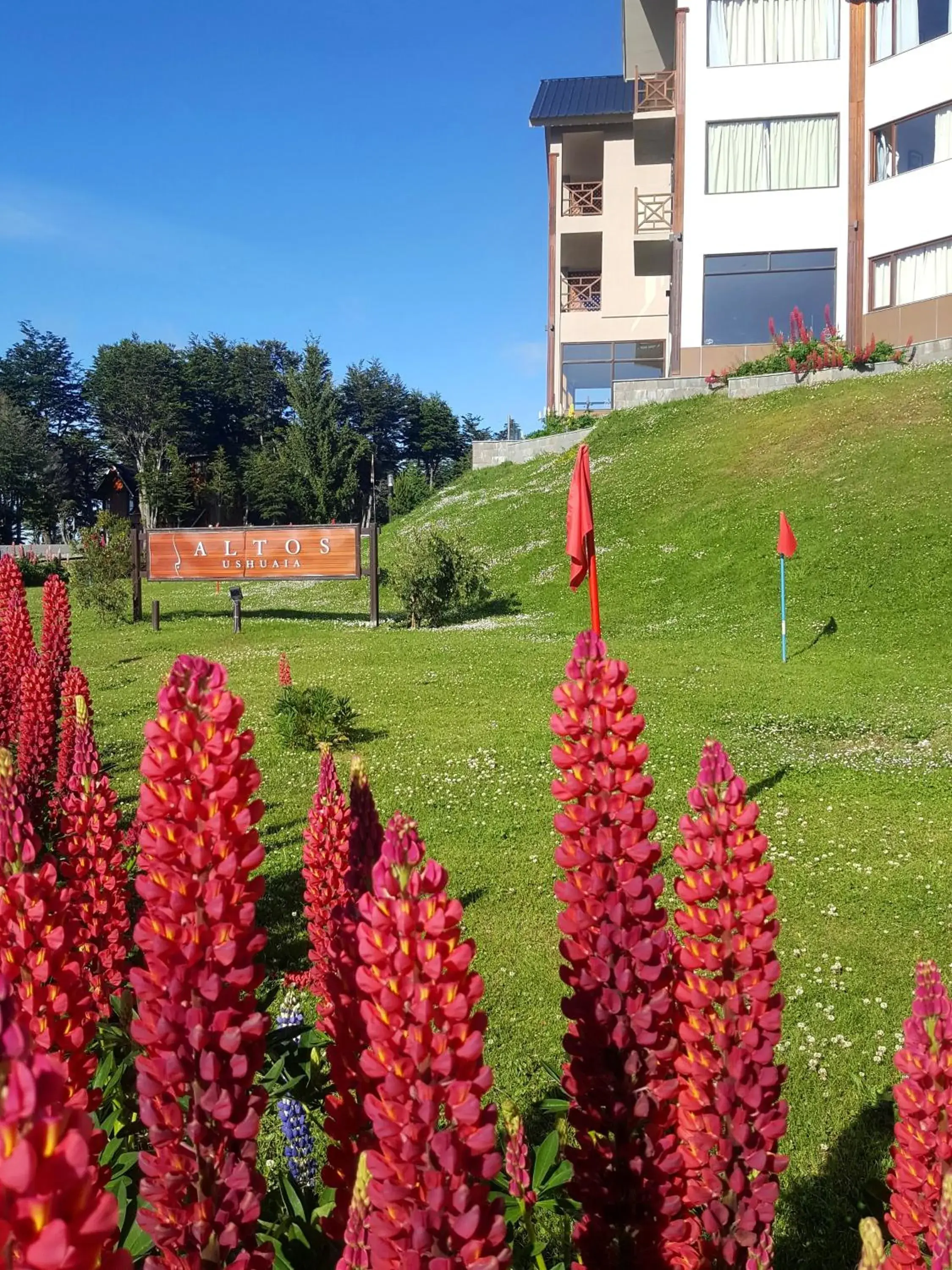 Off site, Garden in Altos Ushuaia Hotel & Resto