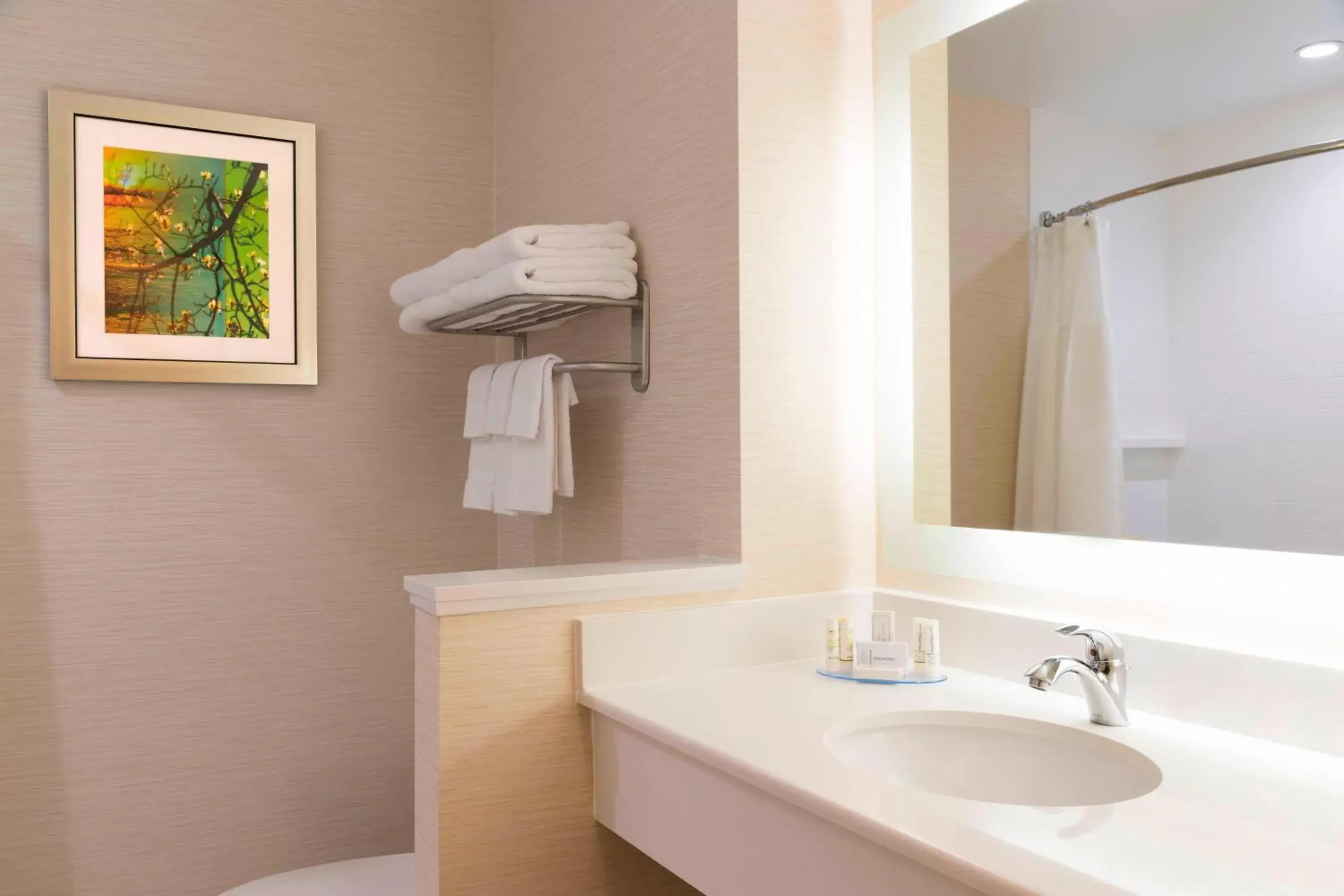 Bathroom in Fairfield Inn & Suites by Marriott Medina