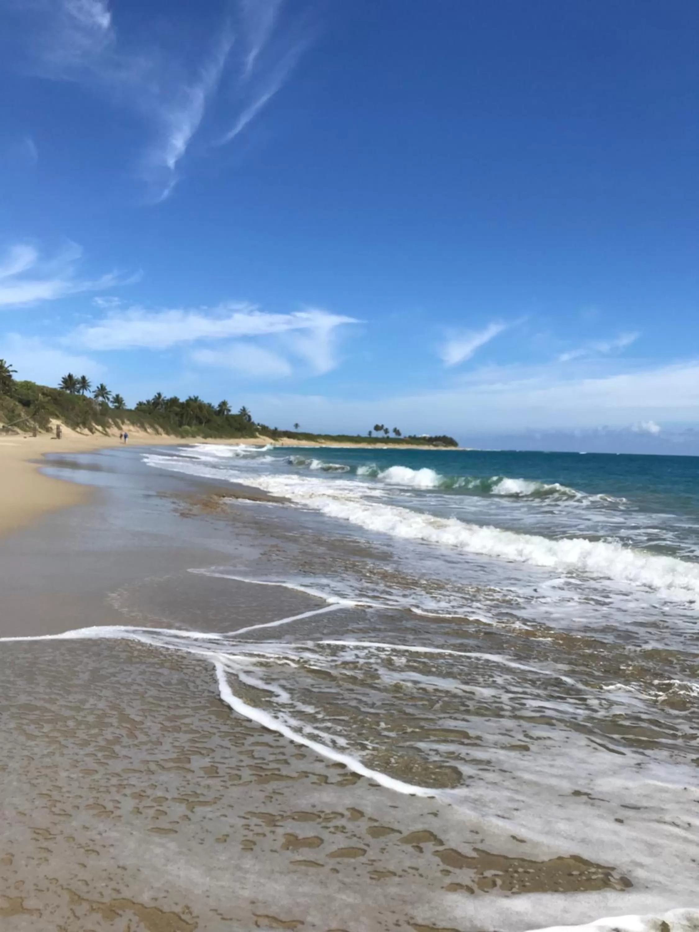 Beach in Diamond Hotel Cabarete