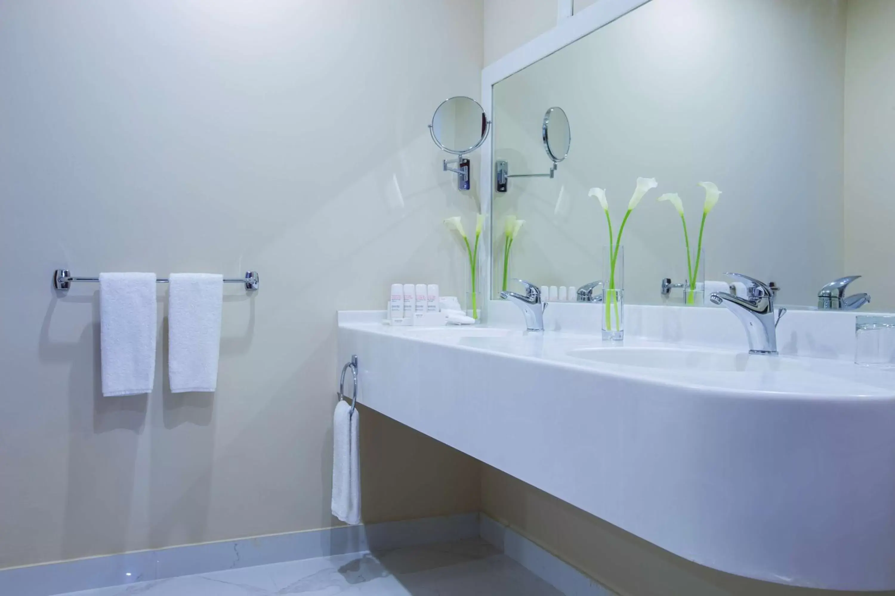 Bathroom in Radisson Blu Plaza Jeddah