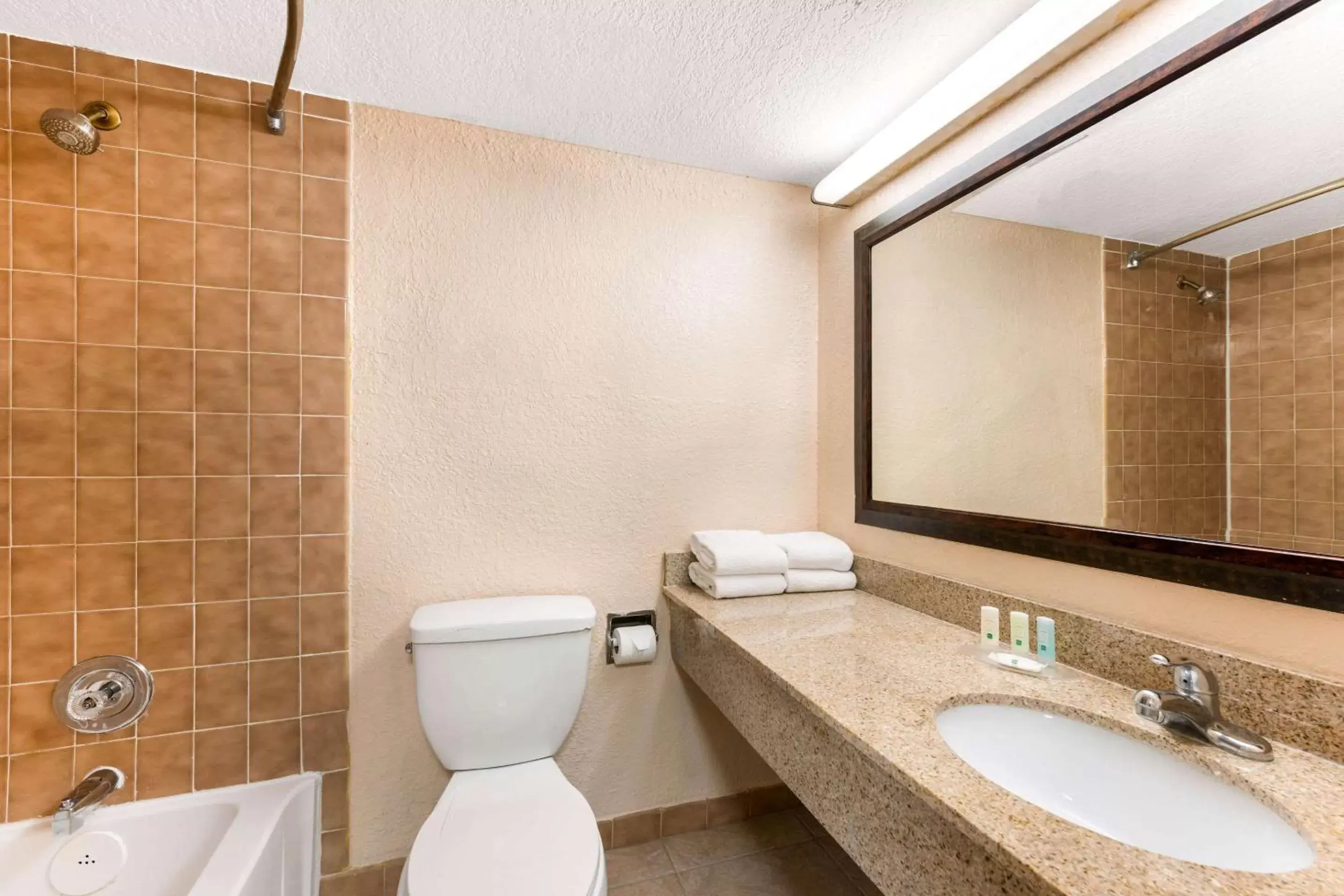 Bathroom in Quality Inn & Suites Orlando Airport