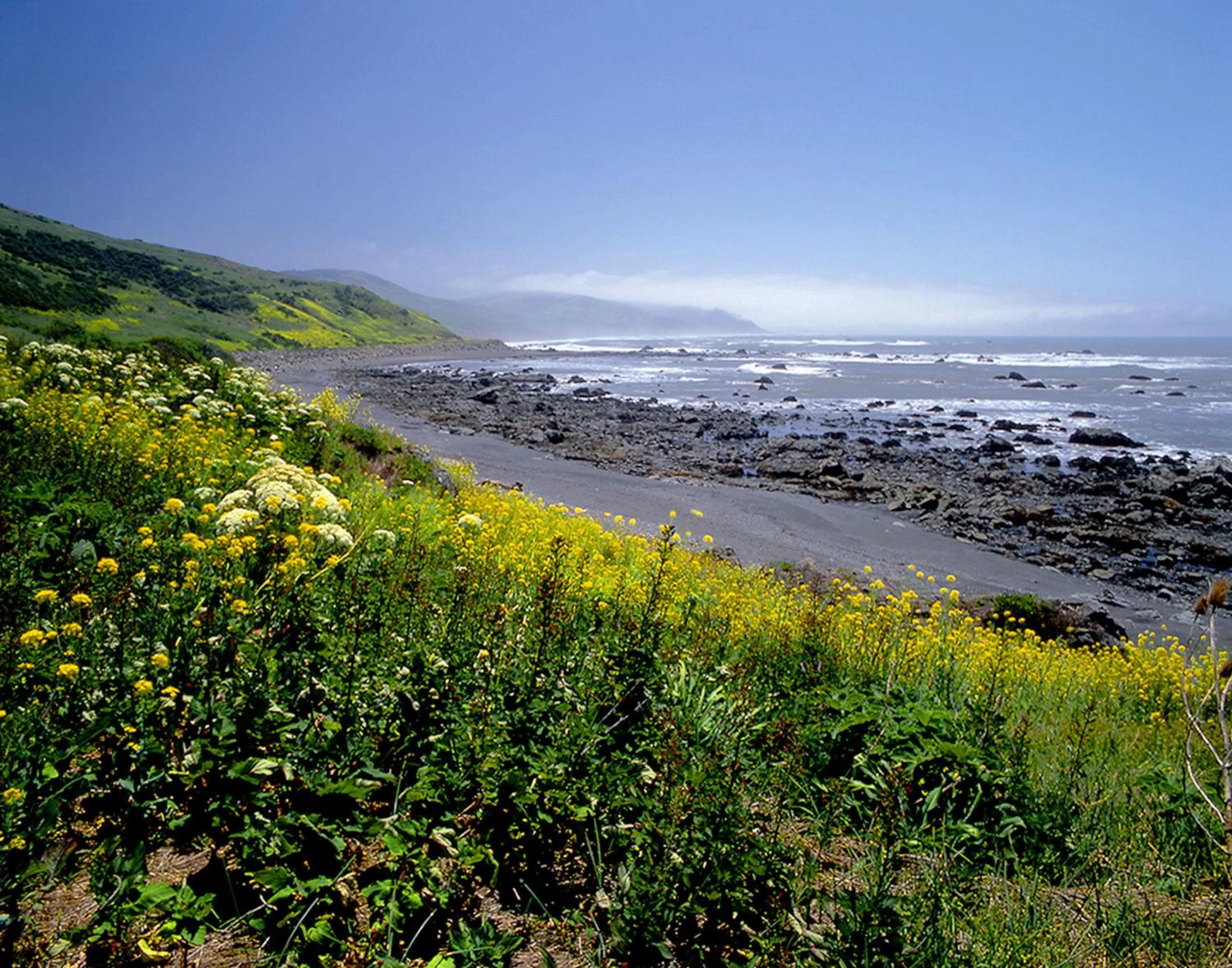 Natural landscape in Redwood Suites