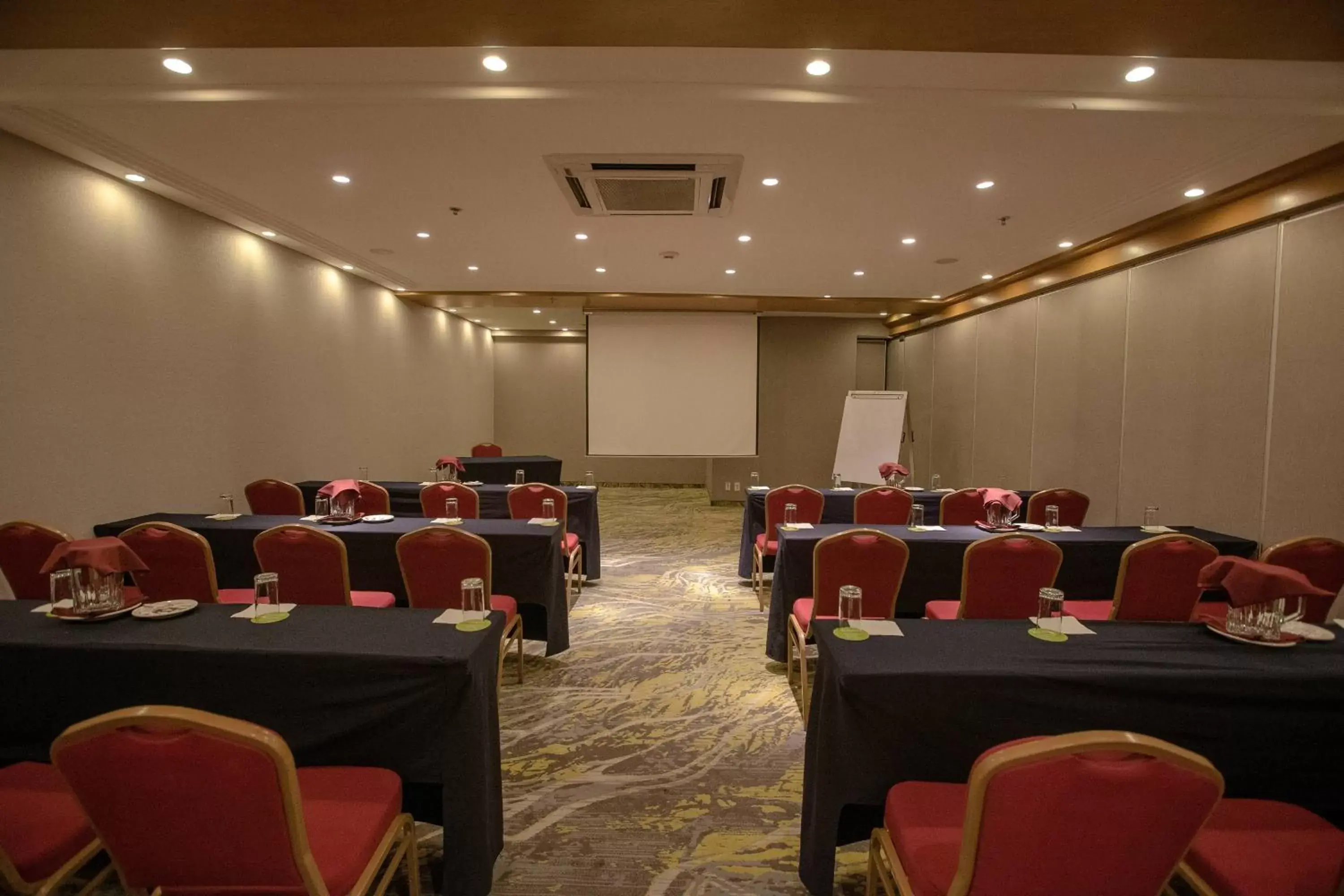 Meeting/conference room in Courtyard by Marriott Mexico City Revolucion