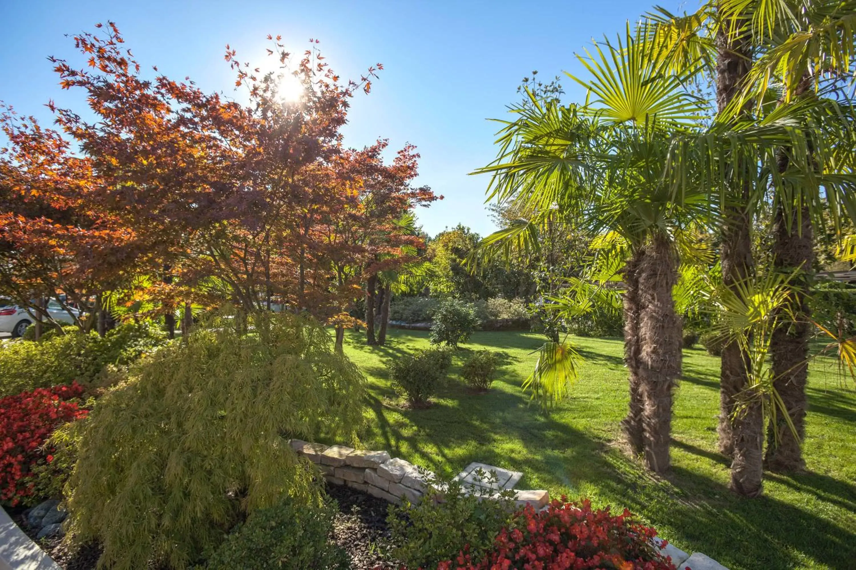 Garden view, Garden in Hotel Savoia Thermae & SPA