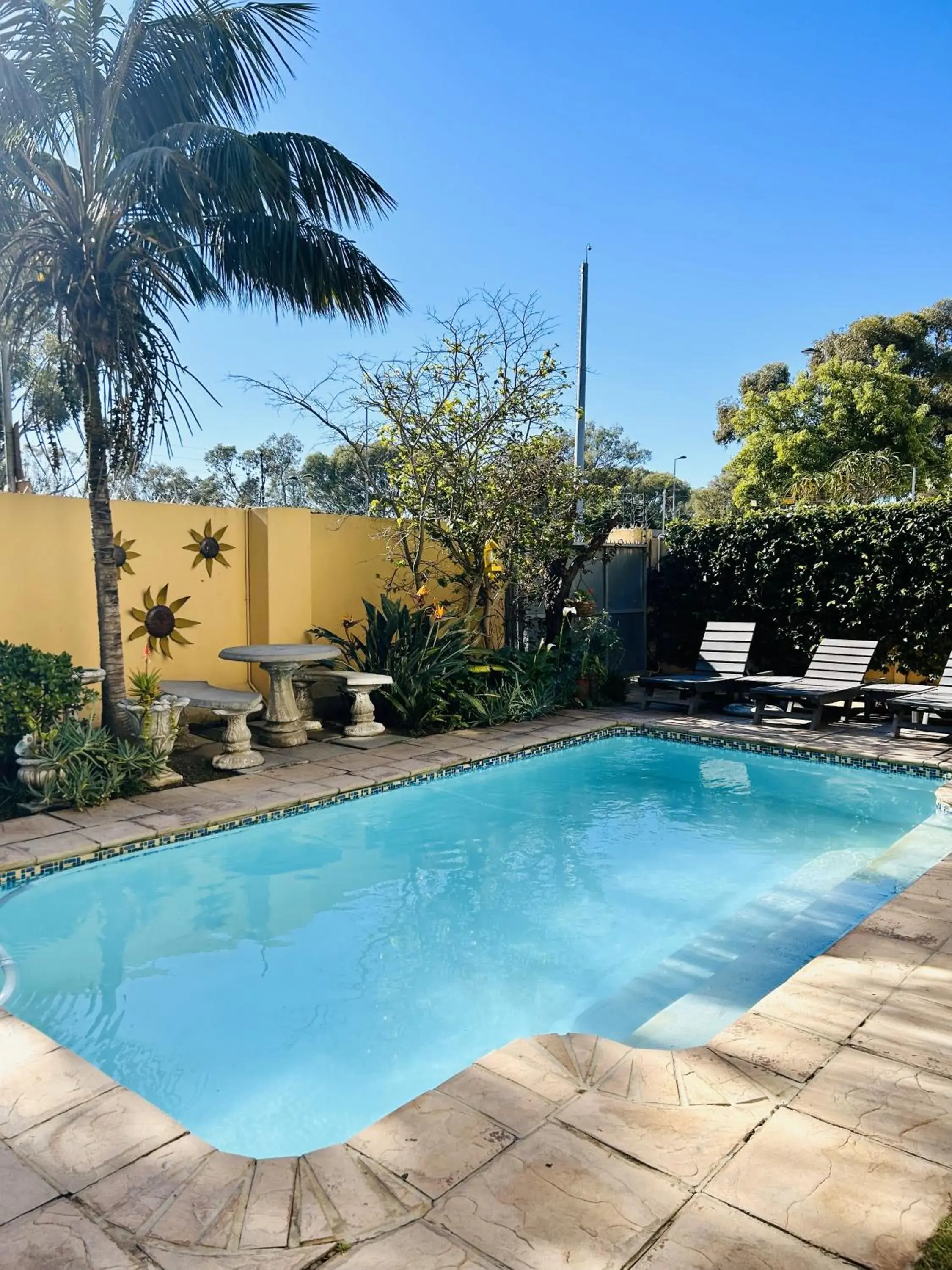 Garden, Swimming Pool in A Sunflower Stop Backpackers