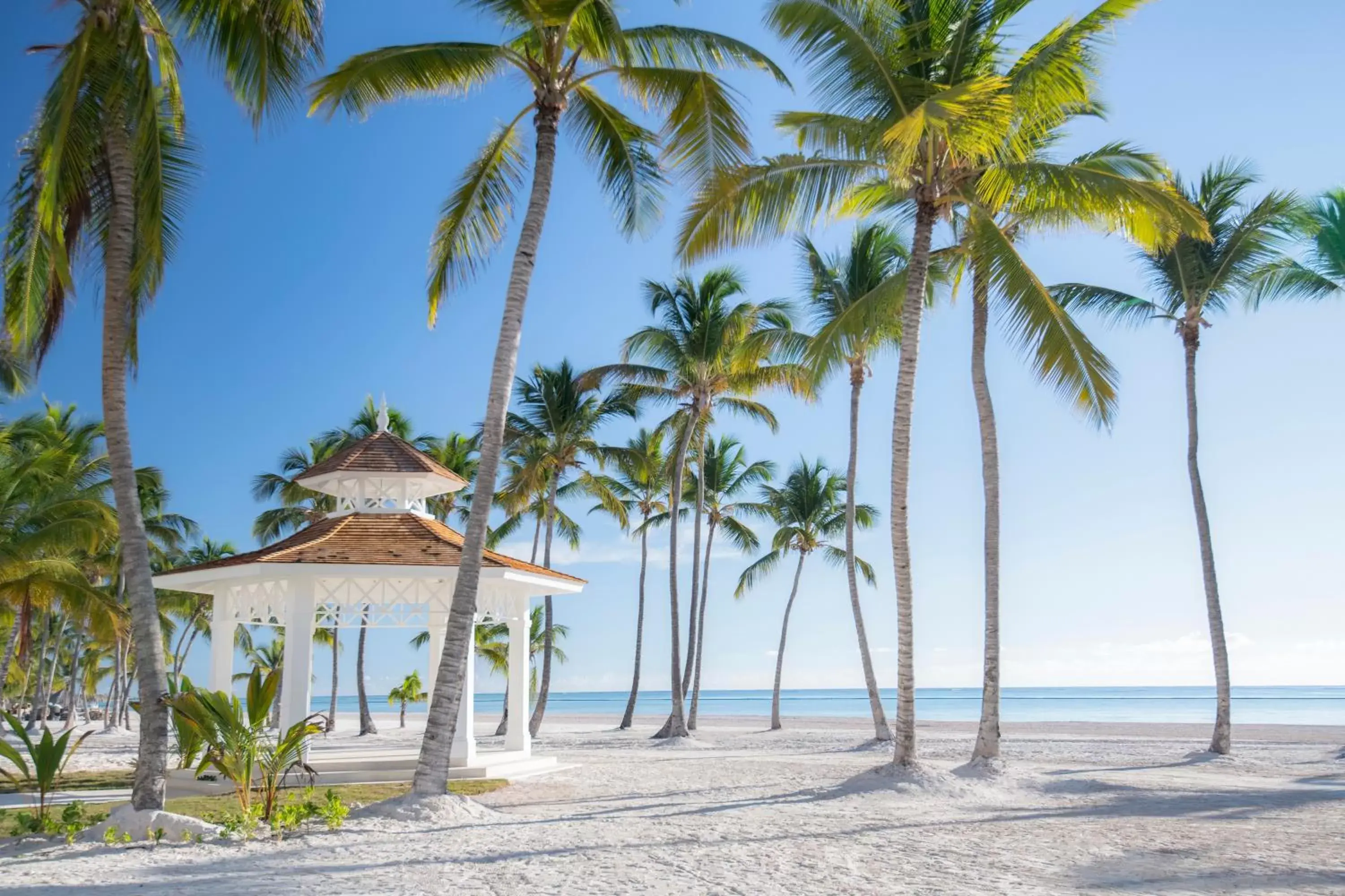 Beach in Hyatt Ziva Cap Cana