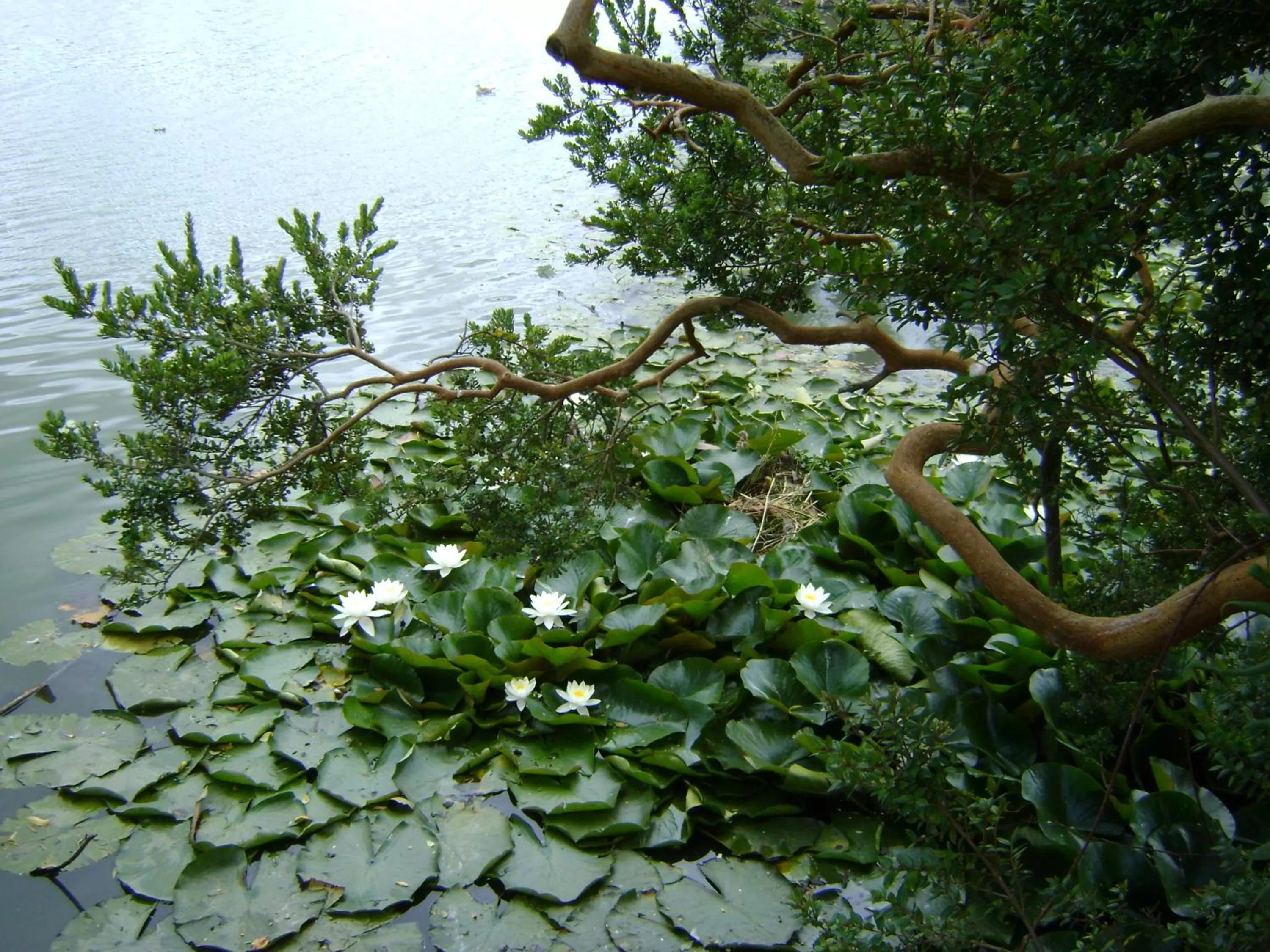 Facade/entrance, Garden in Hotel Boutique Casa Werner