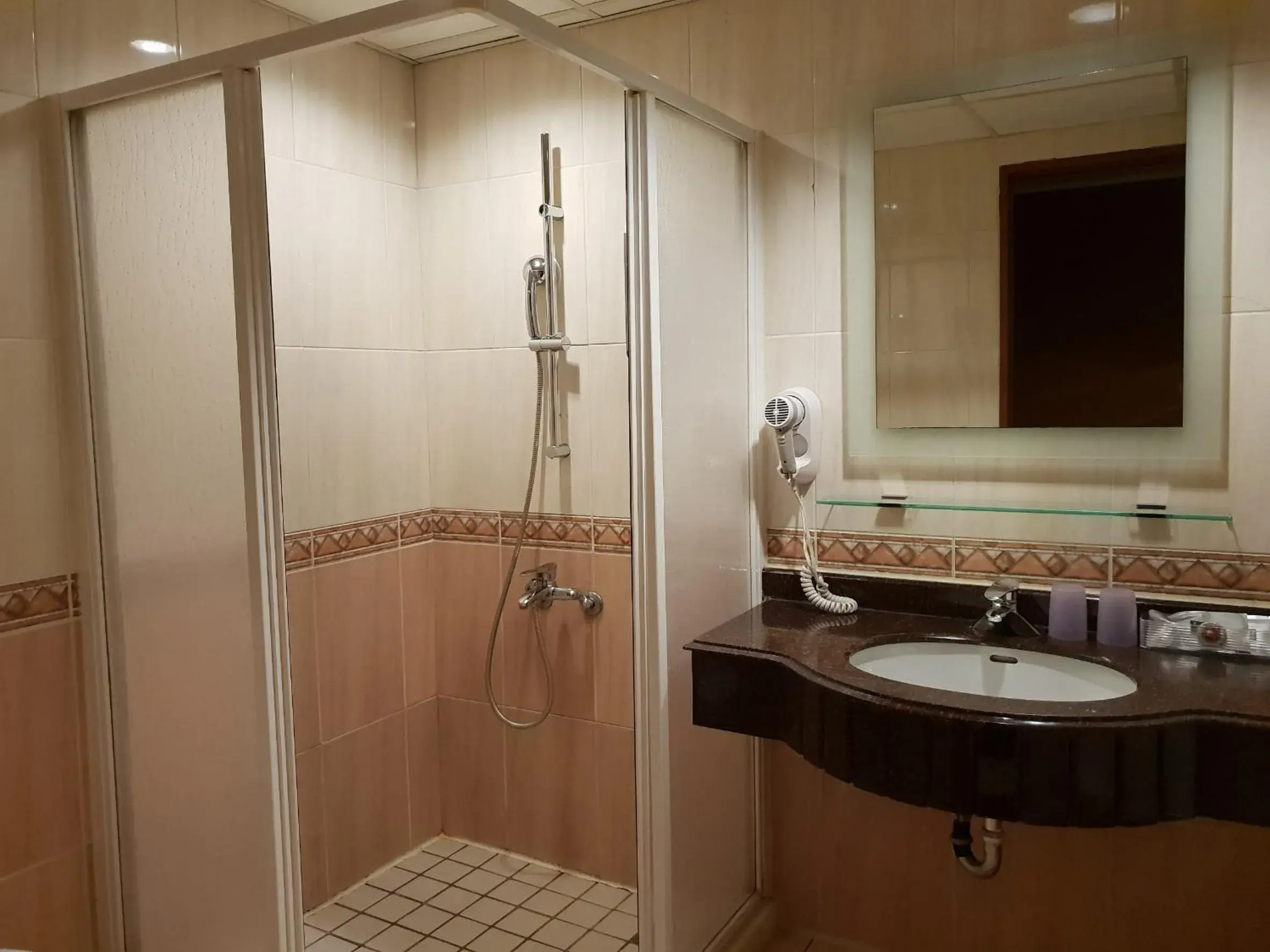 Shower, Bathroom in The Riverside Hotel & Motel