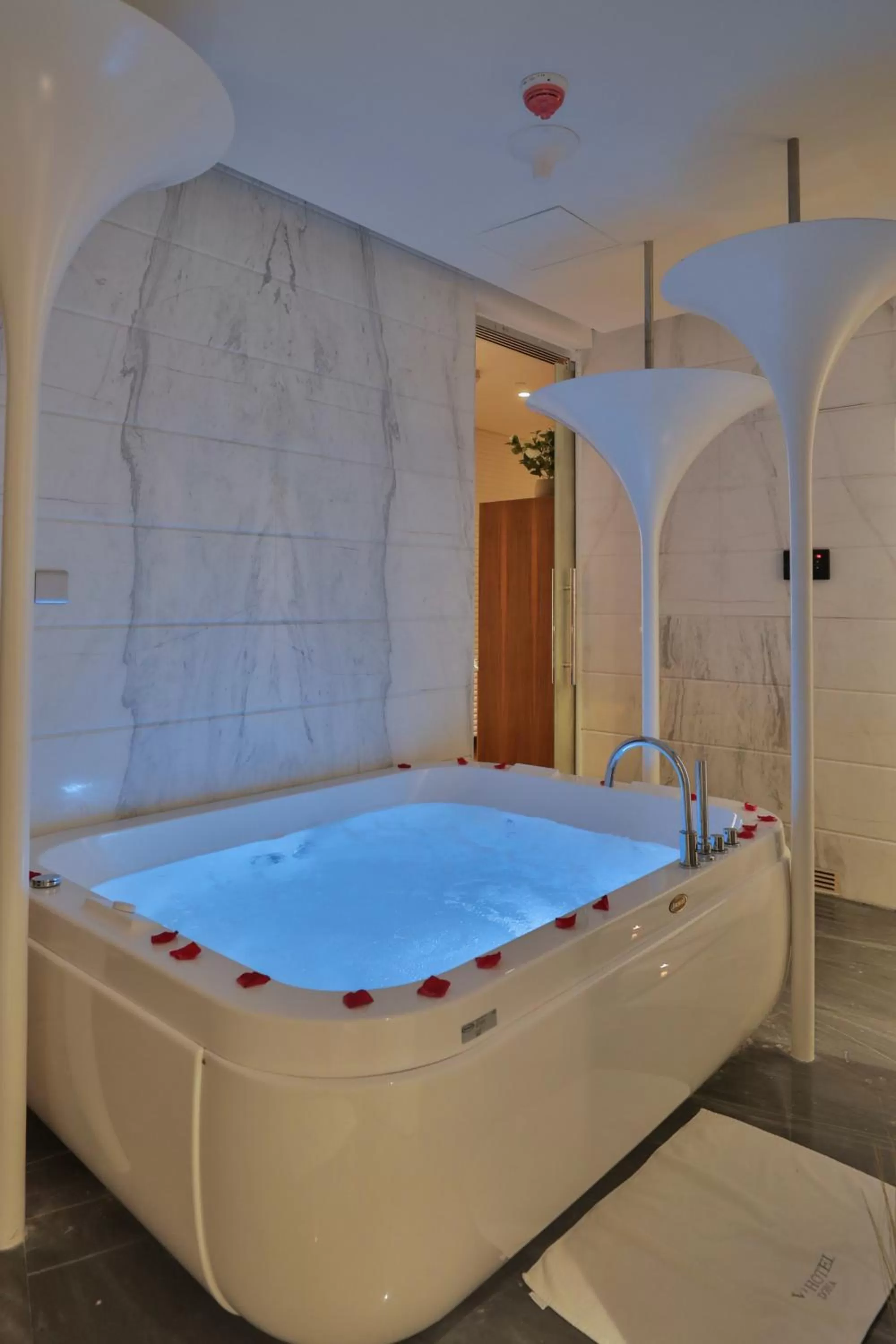 VIP in VIP Hotel Doha Qatar