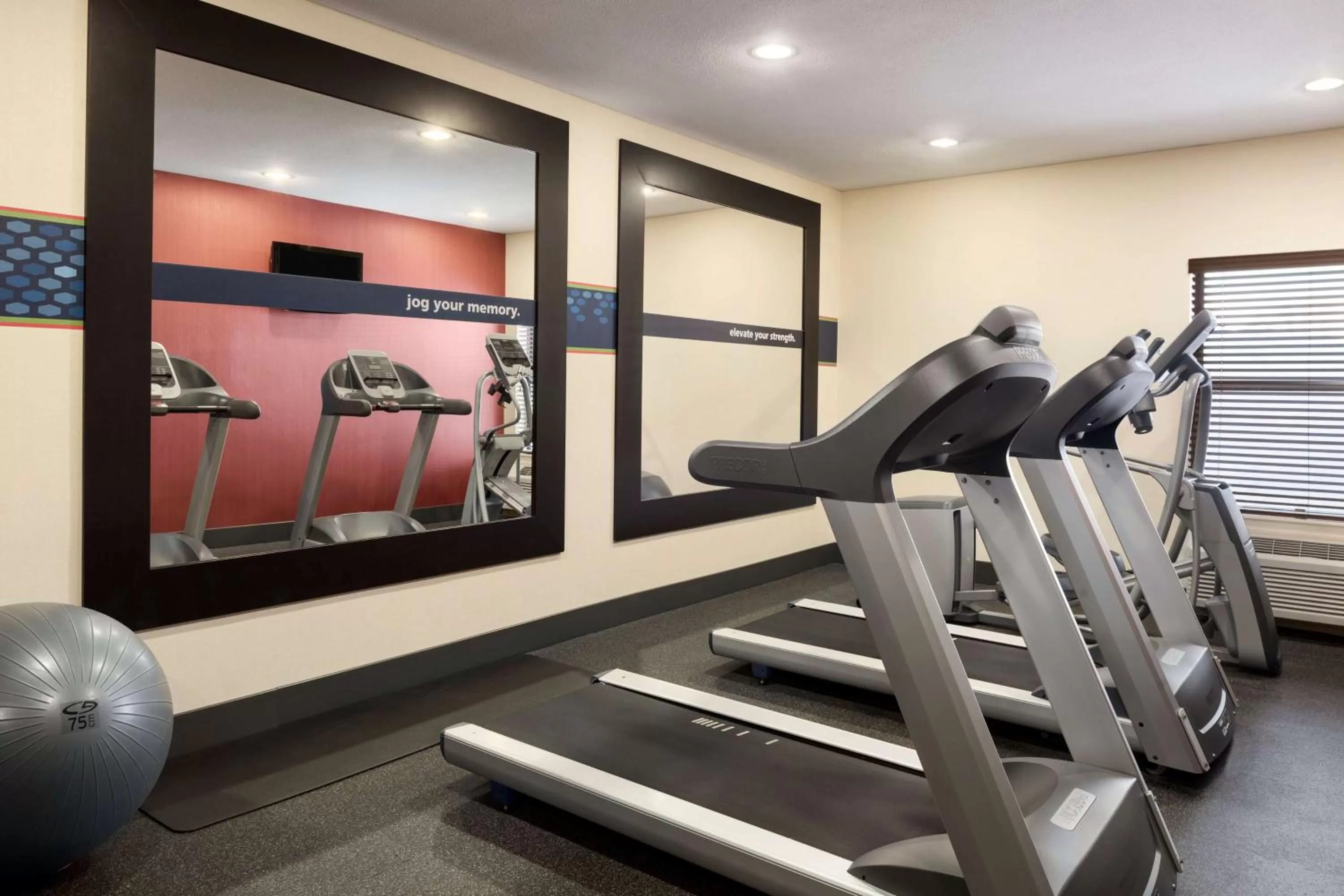 Fitness centre/facilities in Hampton Inn Minneapolis St. Paul-Woodbury