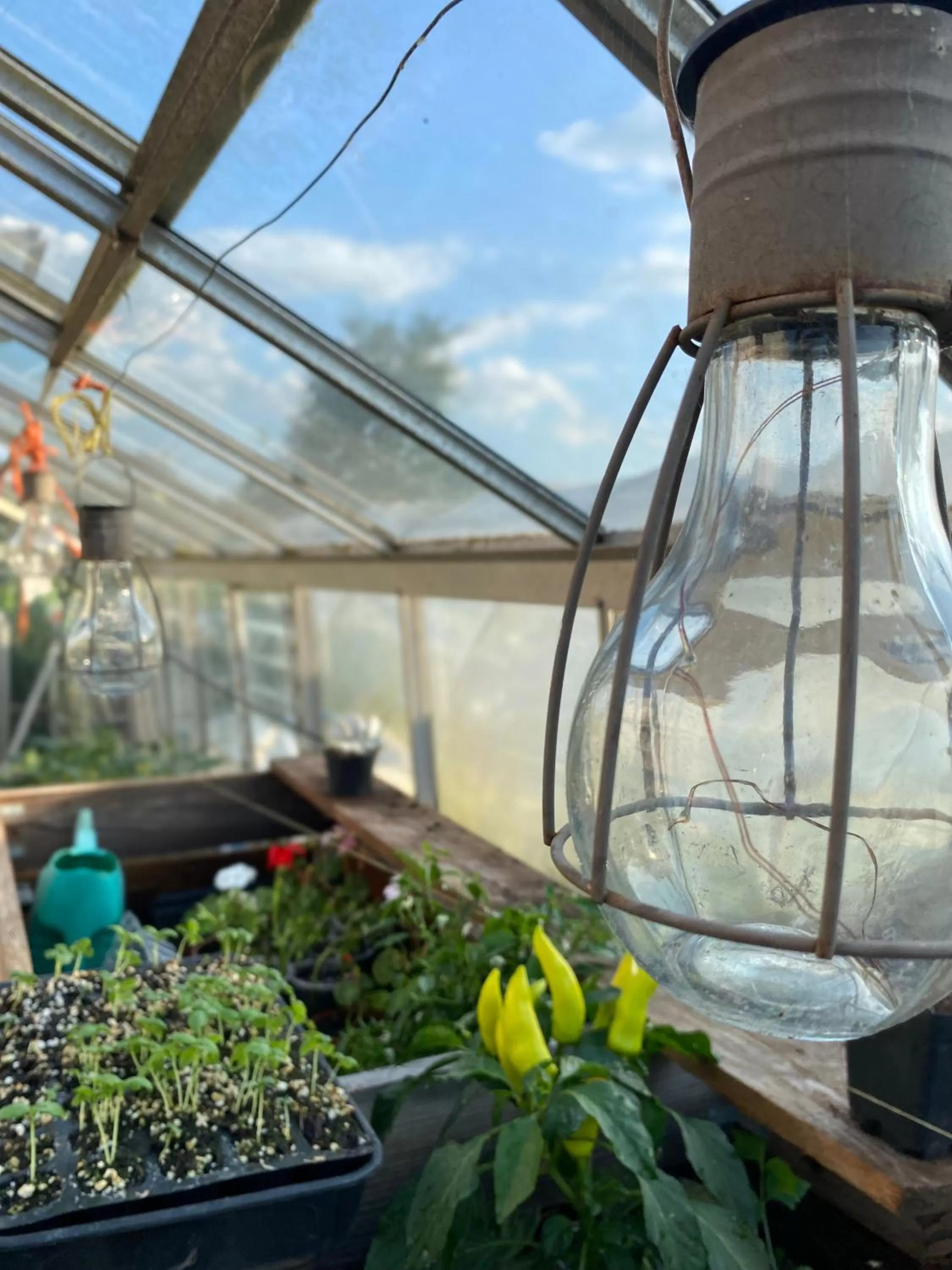 The Talbot at Knightwick