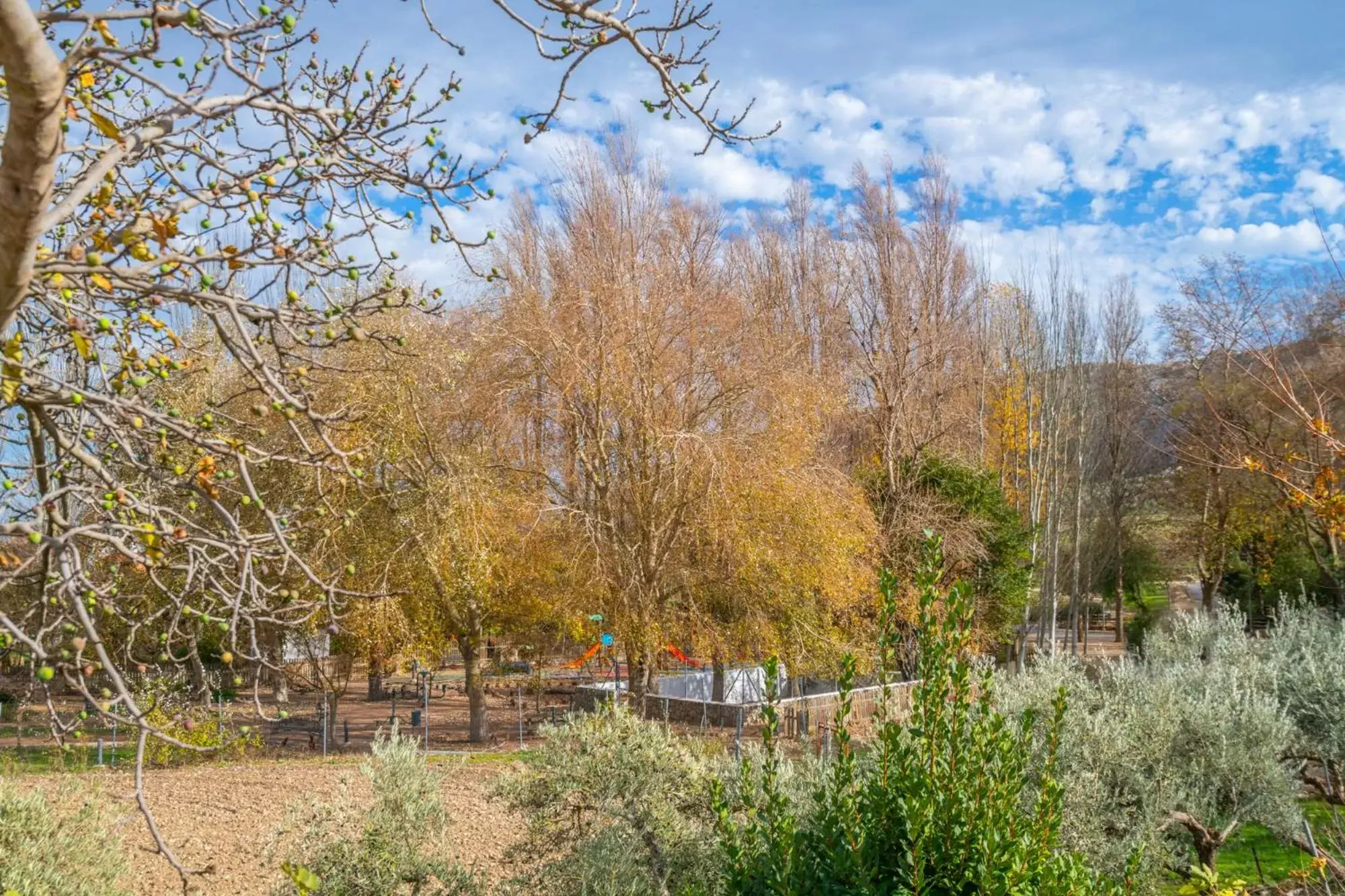 Natural landscape in Hotel Rural El Castillejo