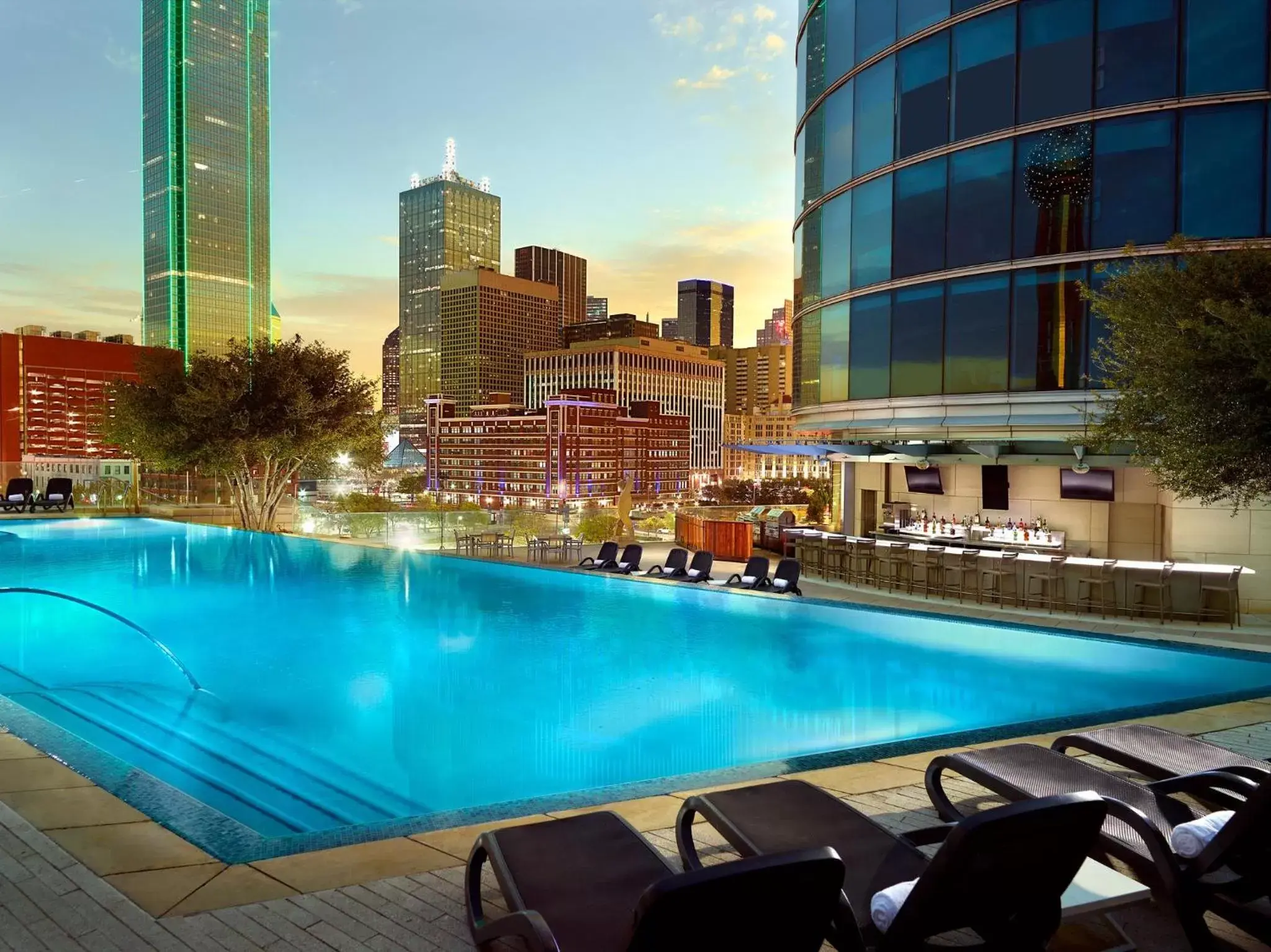 Lounge or bar, Swimming Pool in Omni Dallas Hotel