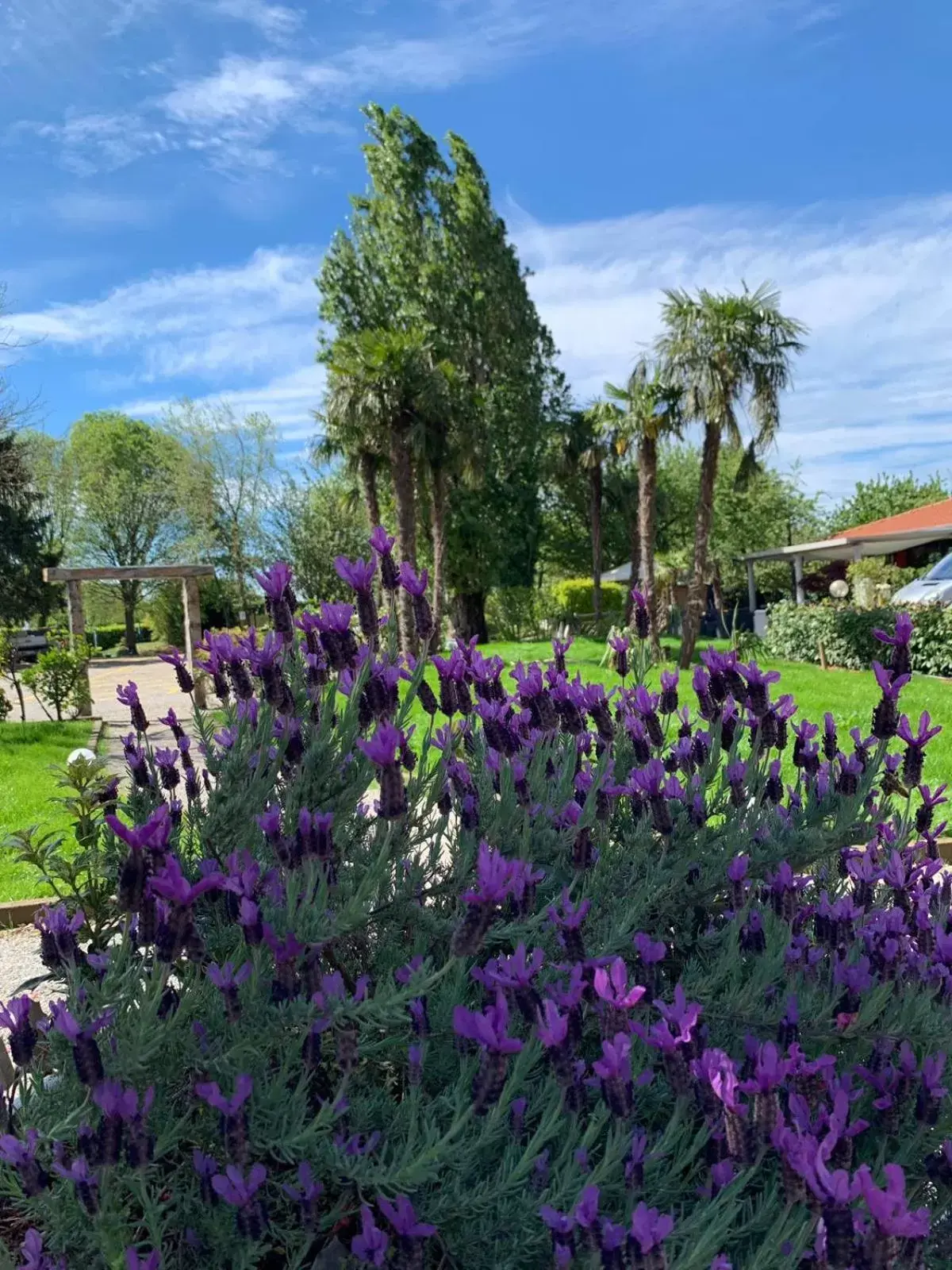 Garden in La Bergamina Hotel & Restaurant