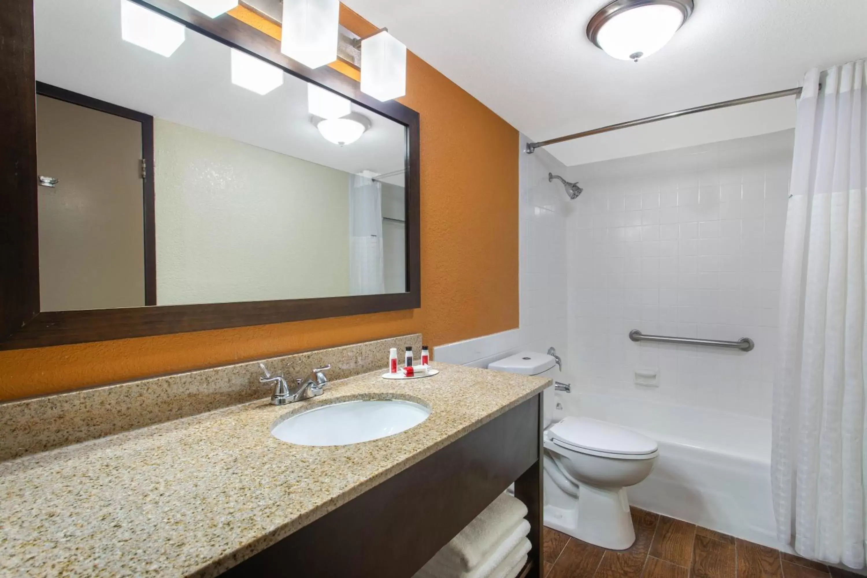 Bathroom in Ramada by Wyndham Tampa Westshore